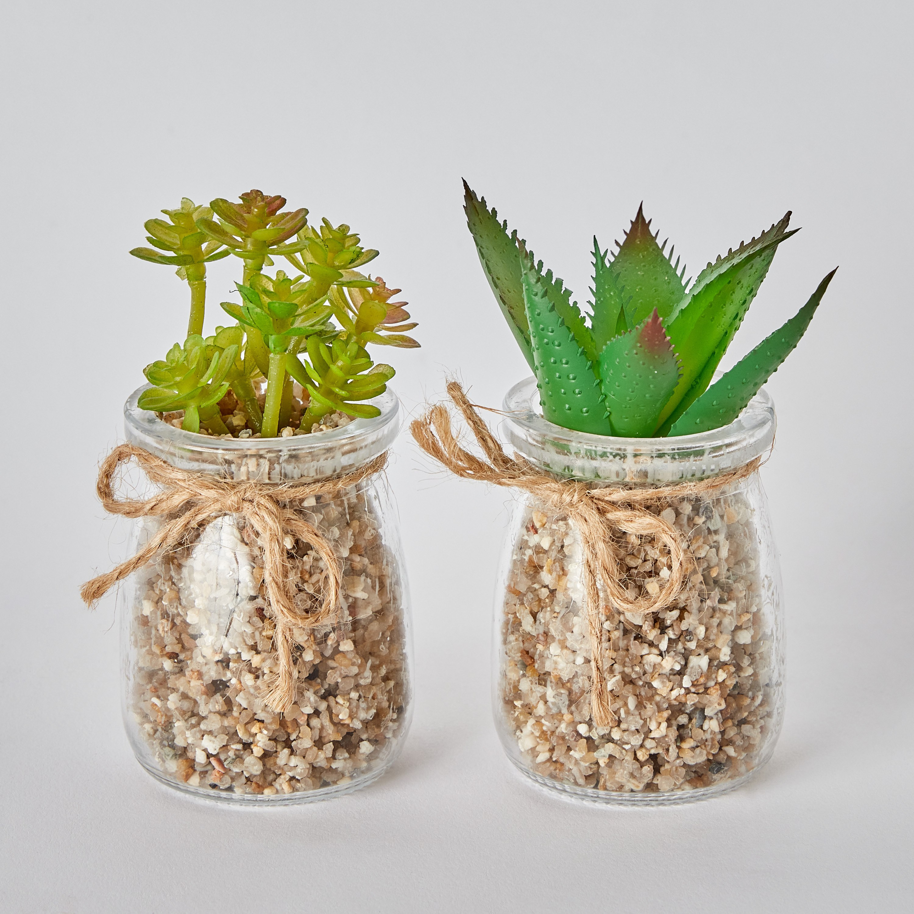 مجموعة نباتات عصاري قطعتين من ديستان - 5.6x7 سم-hbxdecorandfurnishings-homeaccessories-artificialflowersandplants-image-5