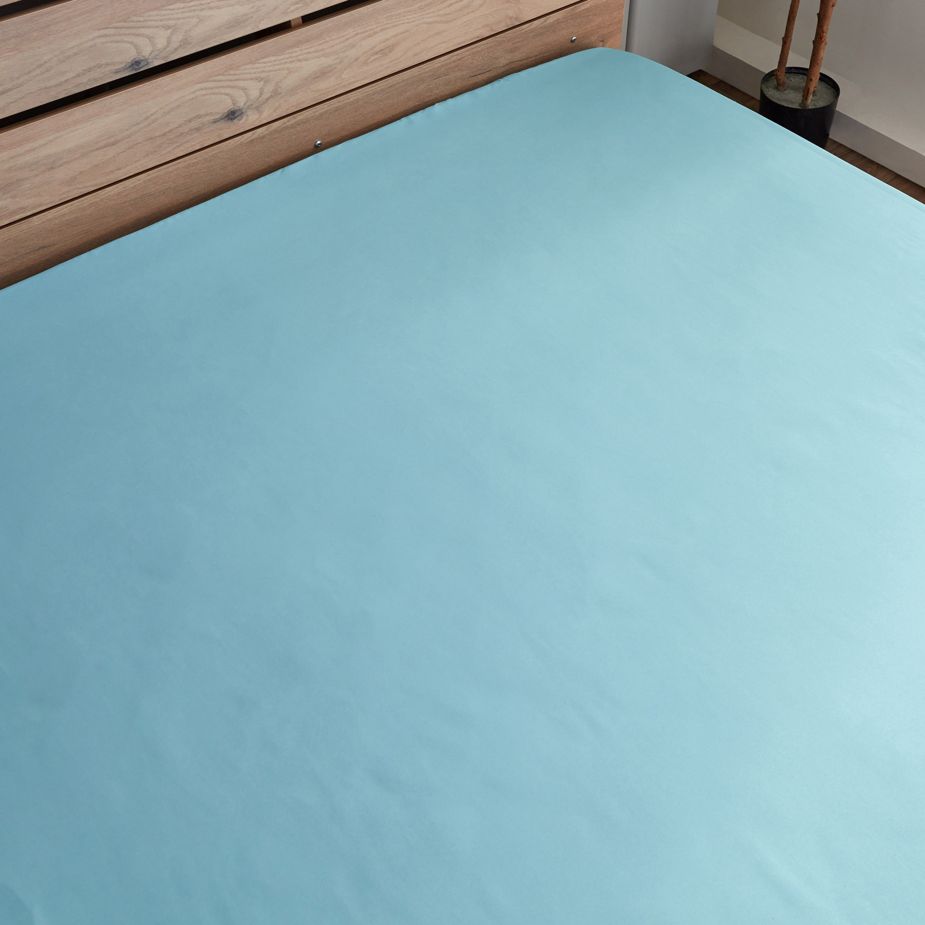 شرشف مسطح سوبر كينج قطن بي سي أي من إسنشيال - 270x260 سم-hbxhomeware-hbxbedroom-image-4