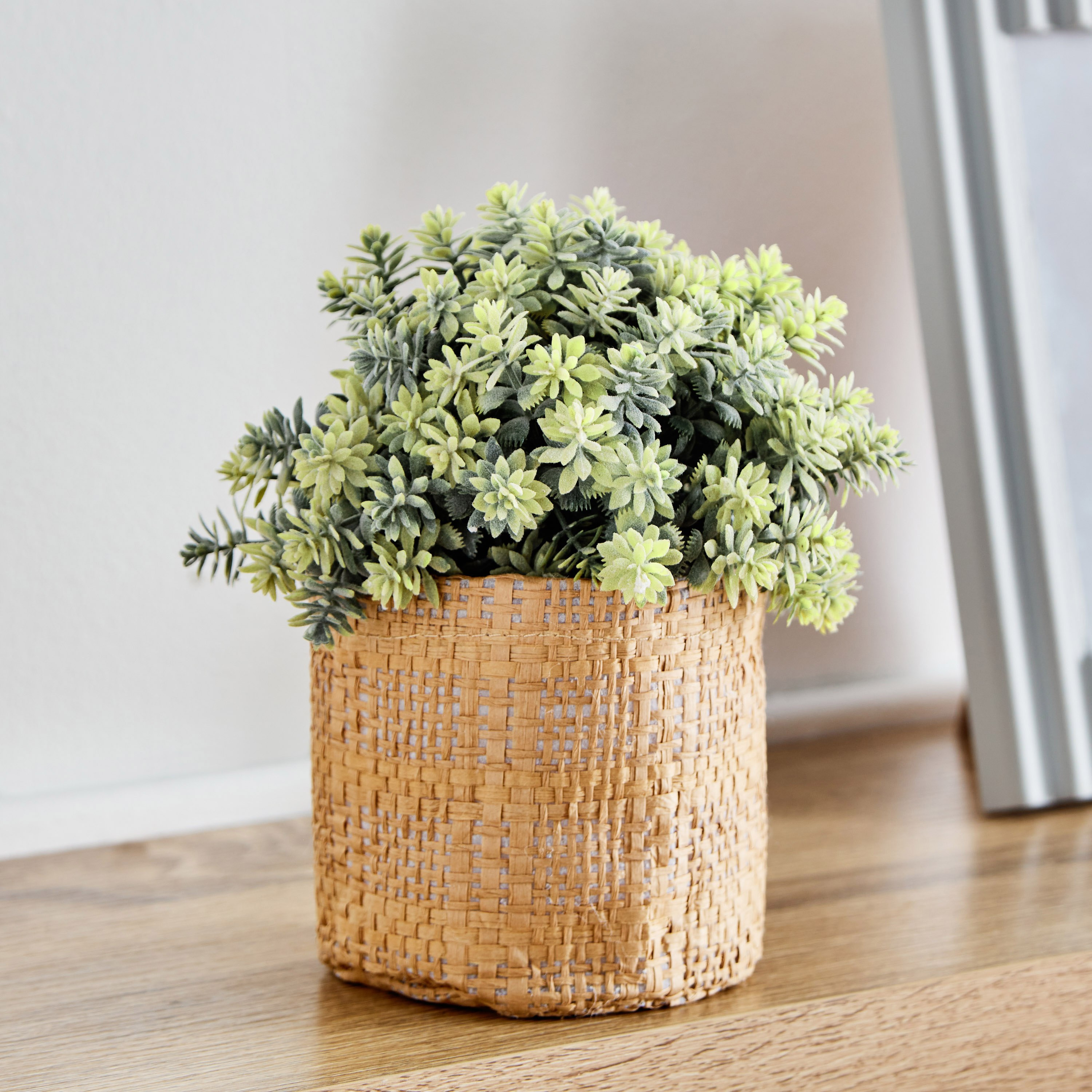 نبات صناعي من ريبا-10x10x16 سم-hbxdecorandfurnishings-homeaccessories-artificialflowersandplants-image-1