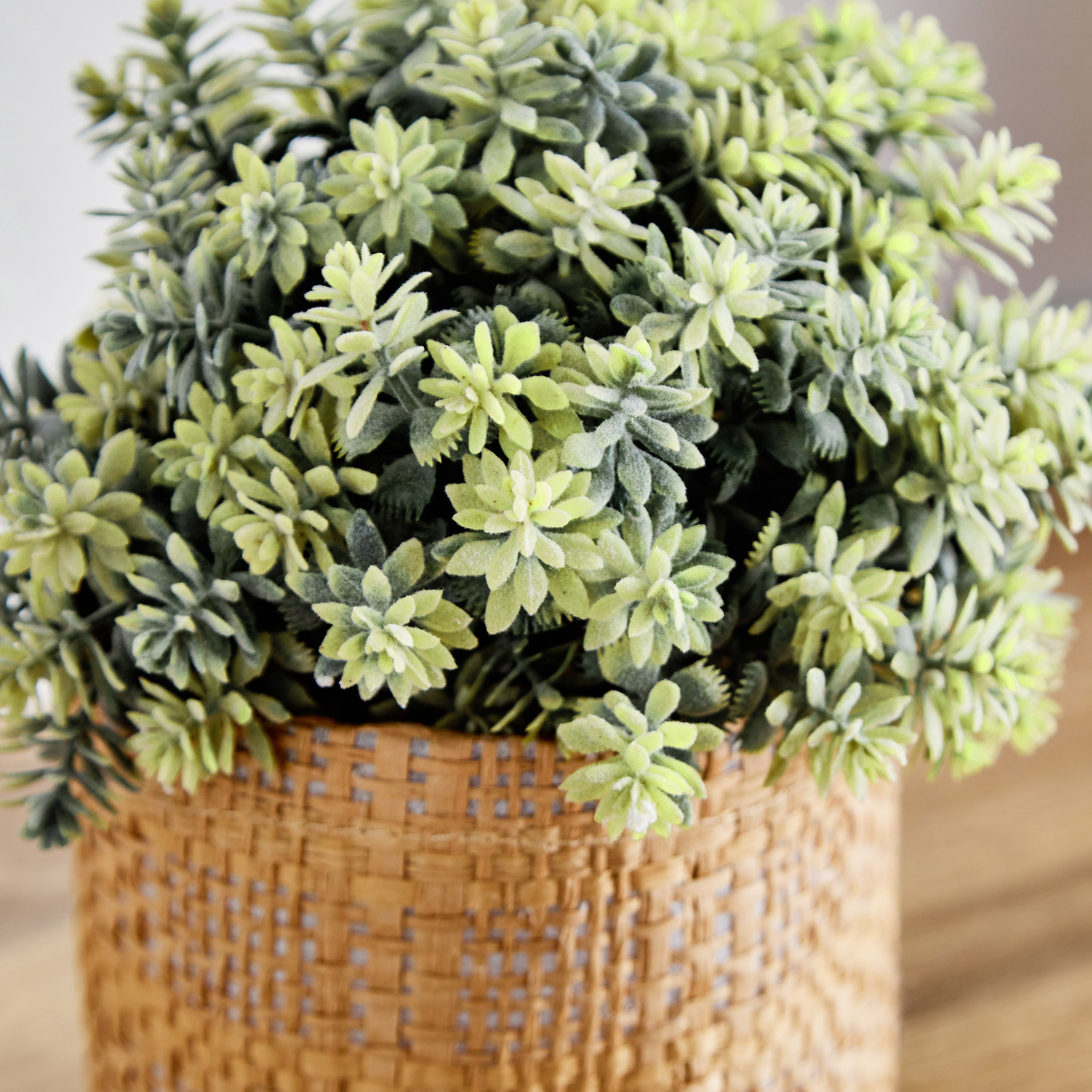 نبات صناعي من ريبا-10x10x16 سم-hbxdecorandfurnishings-homeaccessories-artificialflowersandplants-image-2