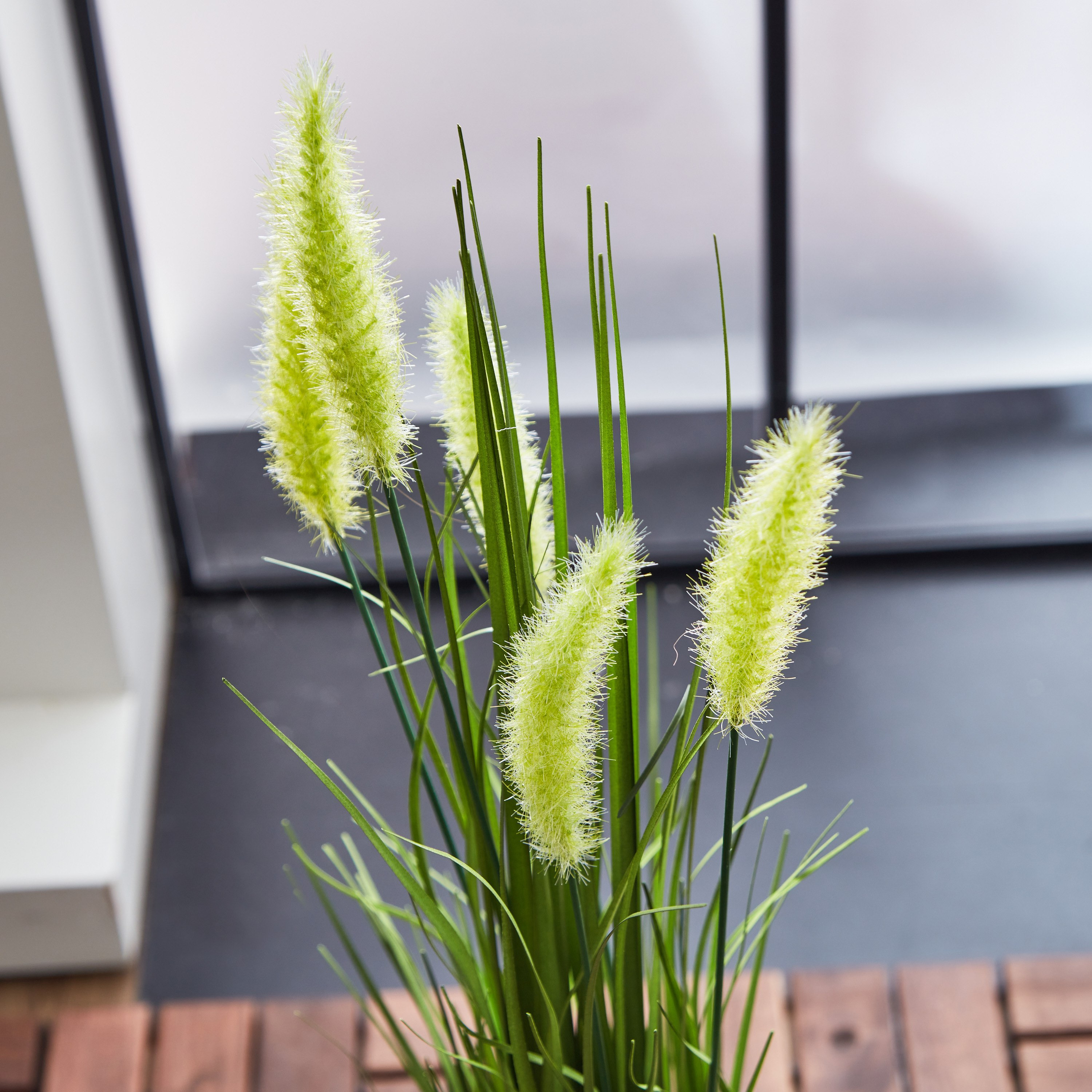 حزمة عشب سيتاريا صناعي من إيلانا - 29x29x80 سم-hbxdecorandfurnishings-homeaccessories-artificialflowersandplants-image-2