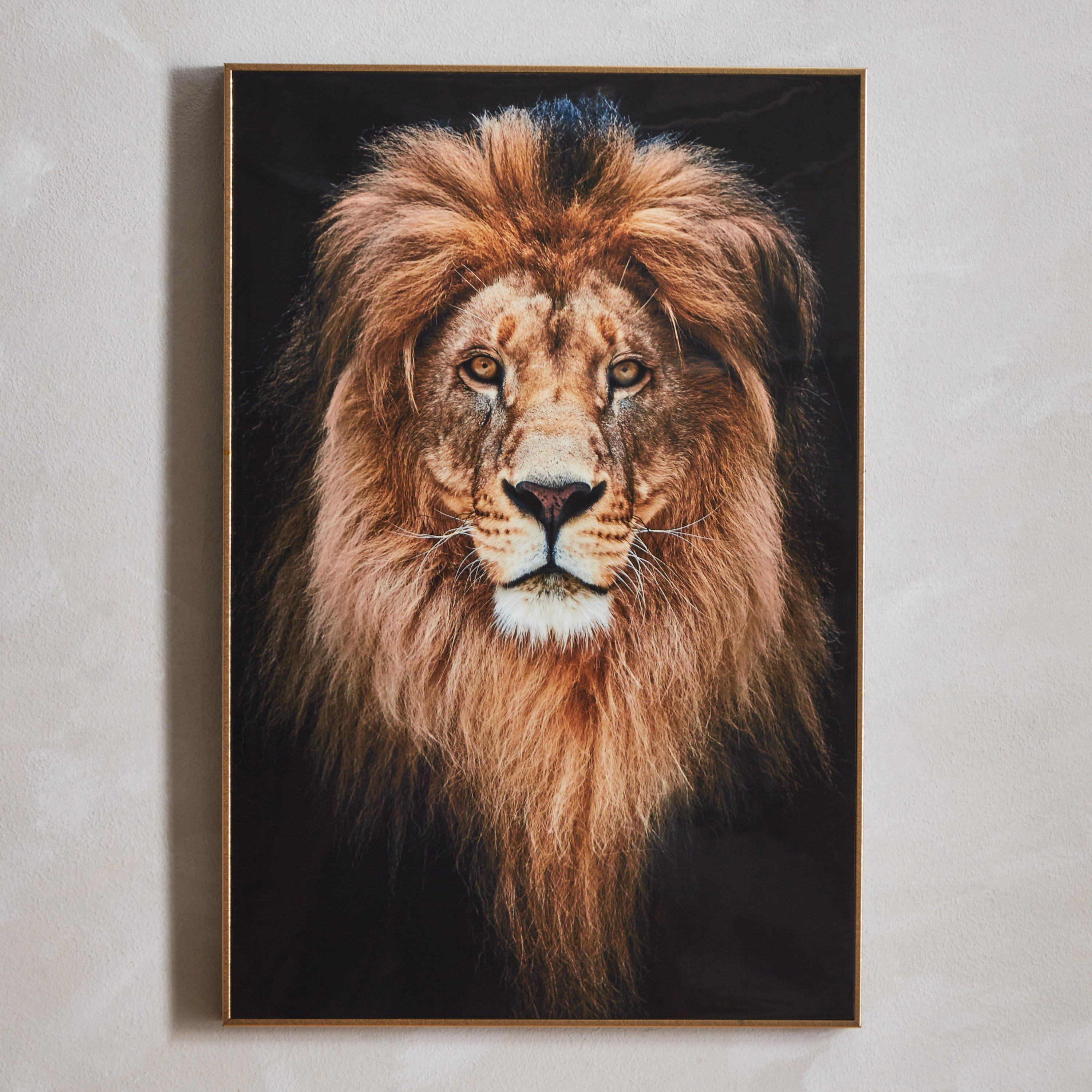 لوحة مؤطرة بتصميم أسد من هامبتون - 40x60x2.5 سم-hbxhomeware-hbxdecorandfurnishings-image-1