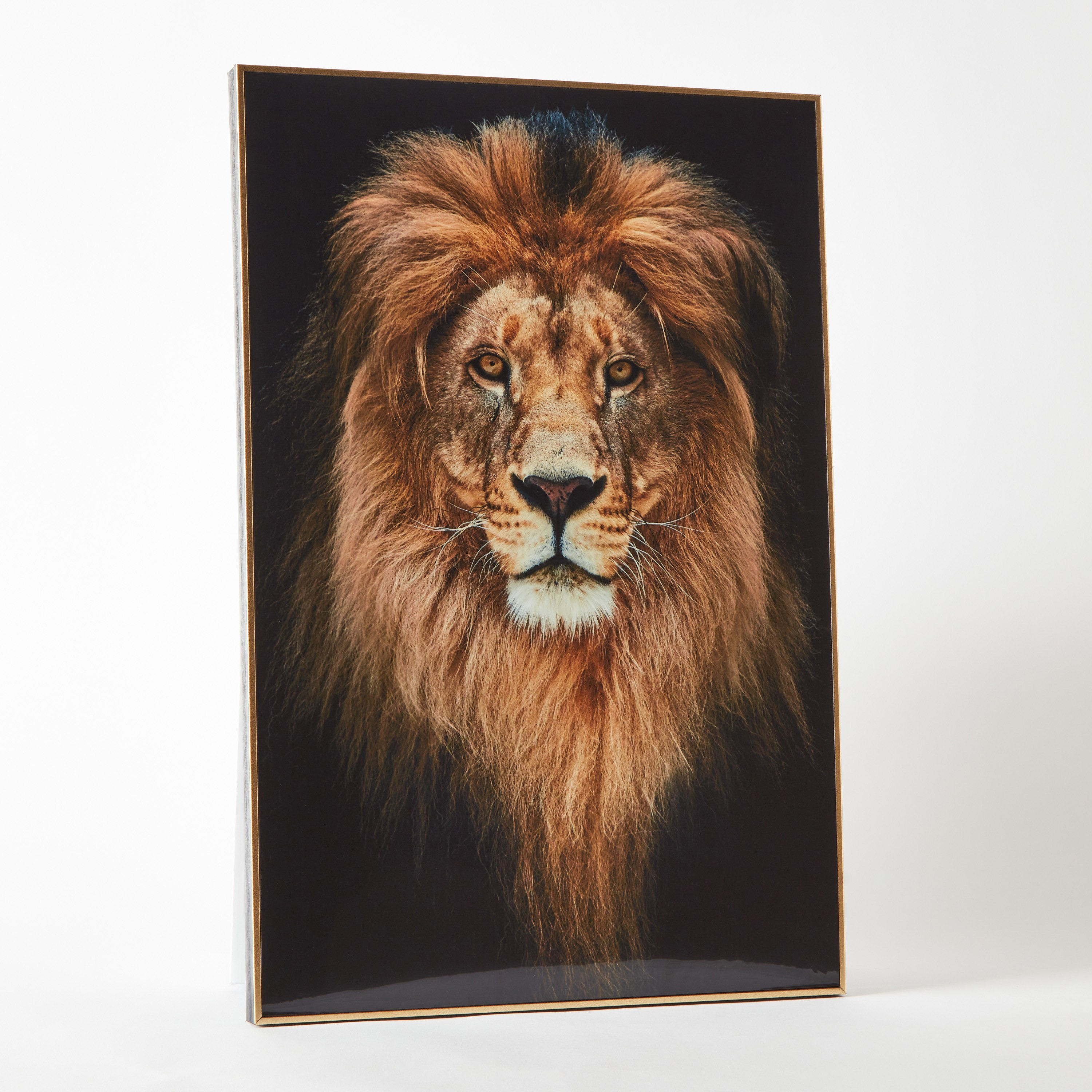 لوحة مؤطرة بتصميم أسد من هامبتون - 40x60x2.5 سم-hbxhomeware-hbxdecorandfurnishings-image-5