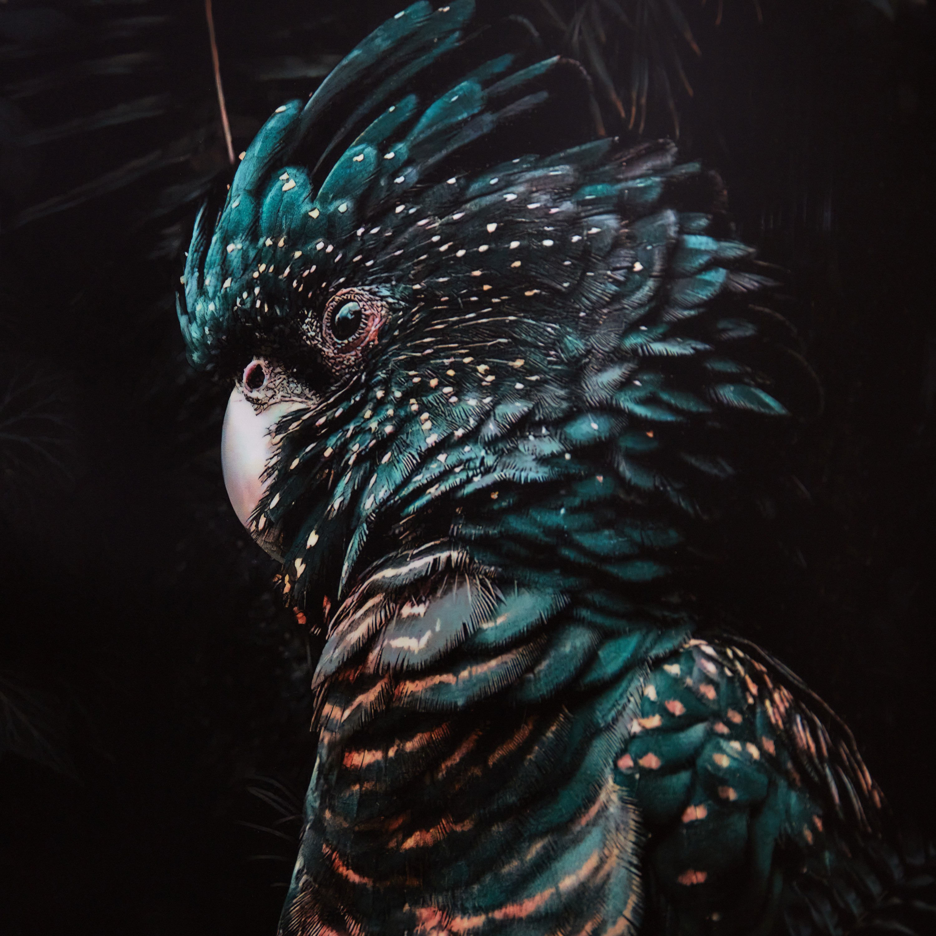 لوحة مؤطرة بتصميم طائر من هامبتون - 40x60x2.5 سم-PROMO_HB_AE_B2G2_011025-image-3