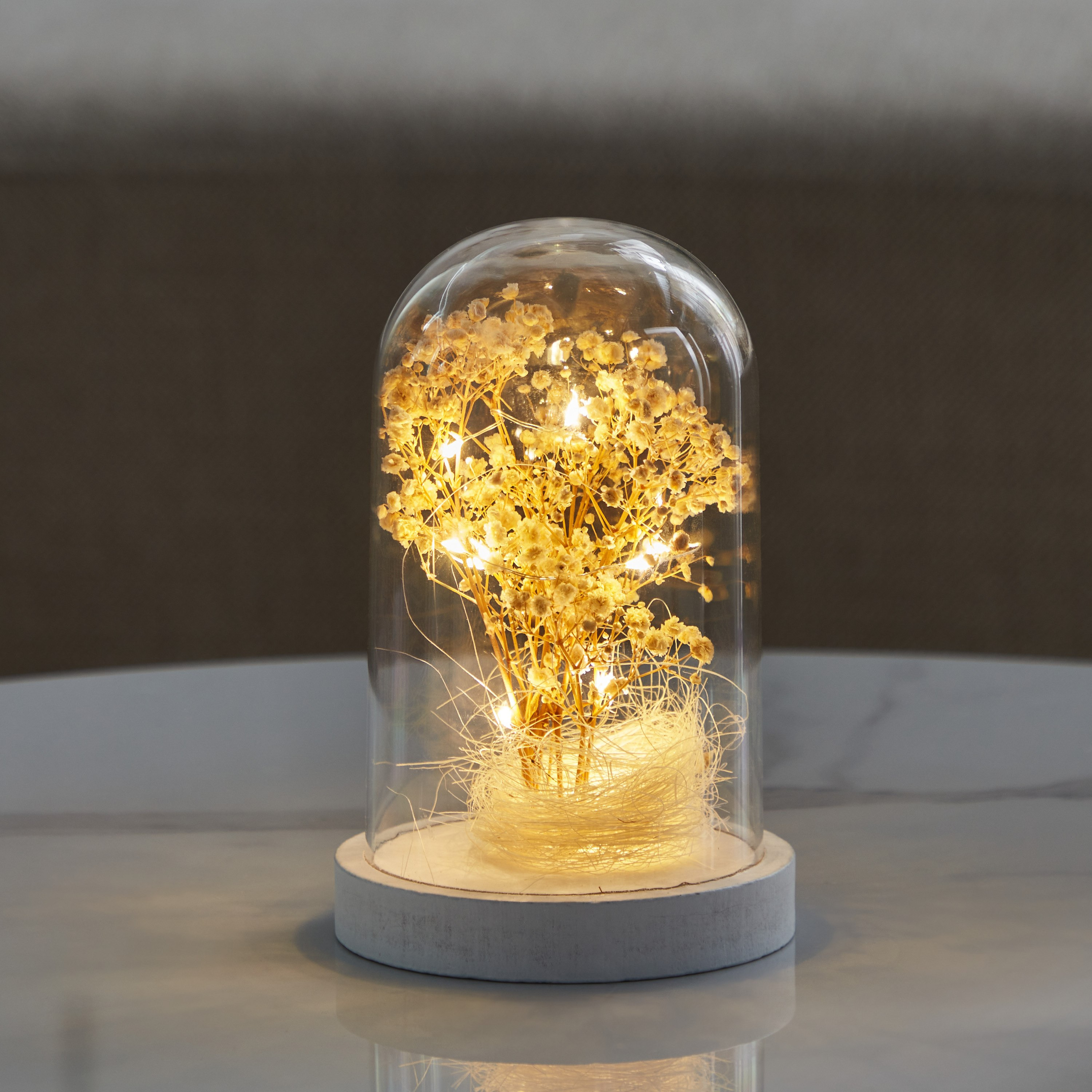 قبة بزهور جافة وقاعدة - 10 لمبات إل إي دي 2AAA من إنفينيتي- 116x182 سم-hbxdiningroom-lighting-decorativesandstringlights-image-1