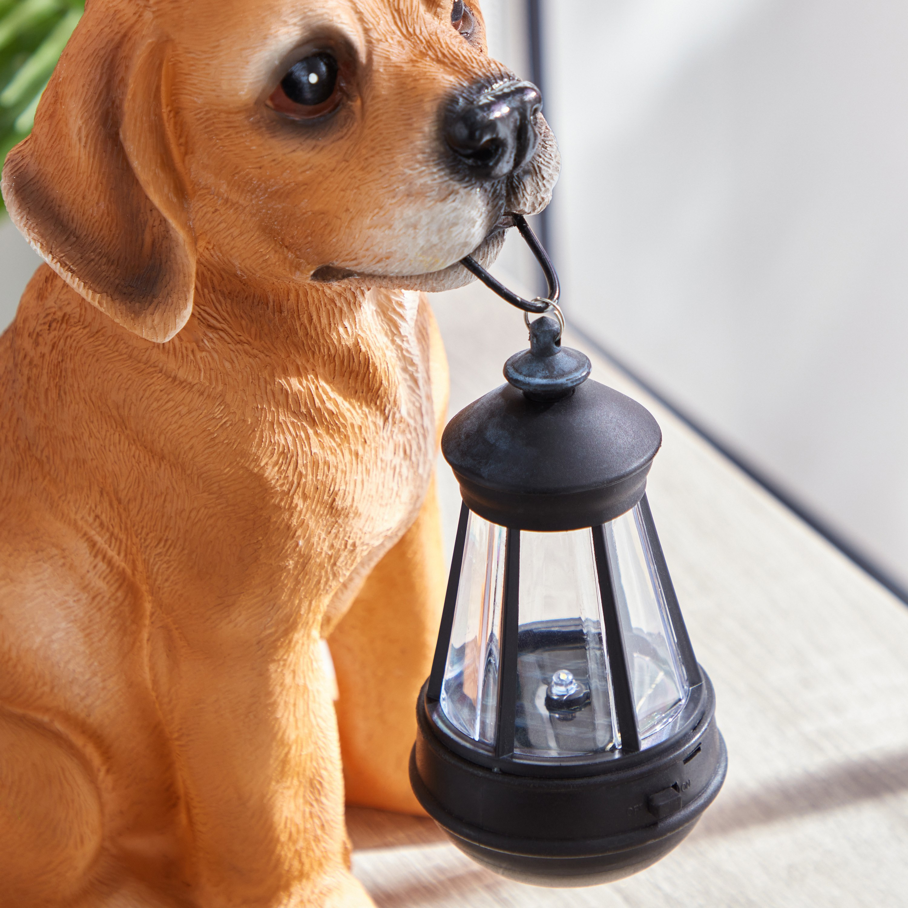 Dog Resin LED Lantern - 24.4x15.5x29.7 cm-hbxhomeware-hbxkidsandyouth-image-4