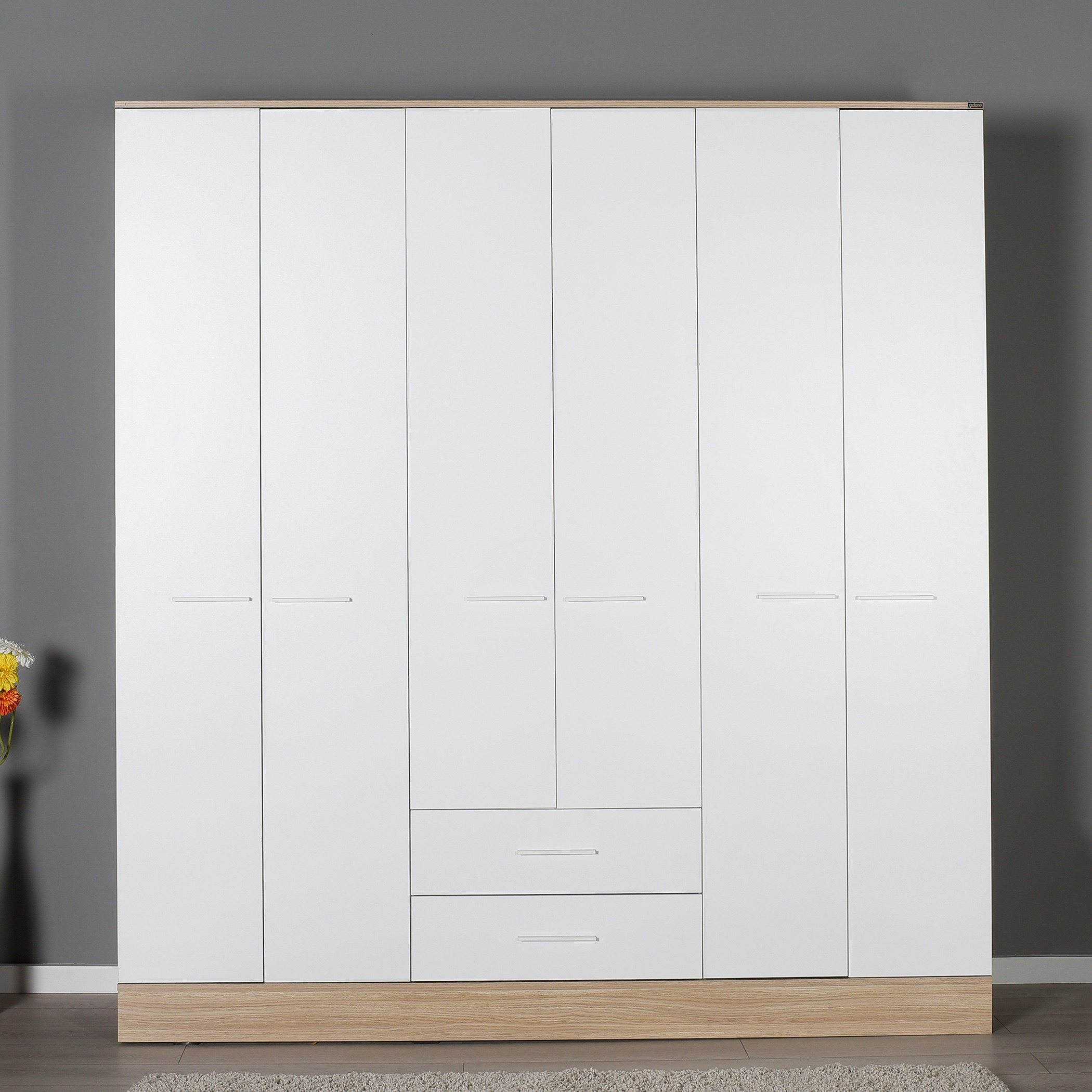 خزانة ملابس 6 أبواب مع درجين - هيلينا من موڤو-hbxfurniture-wardrobes-image-1