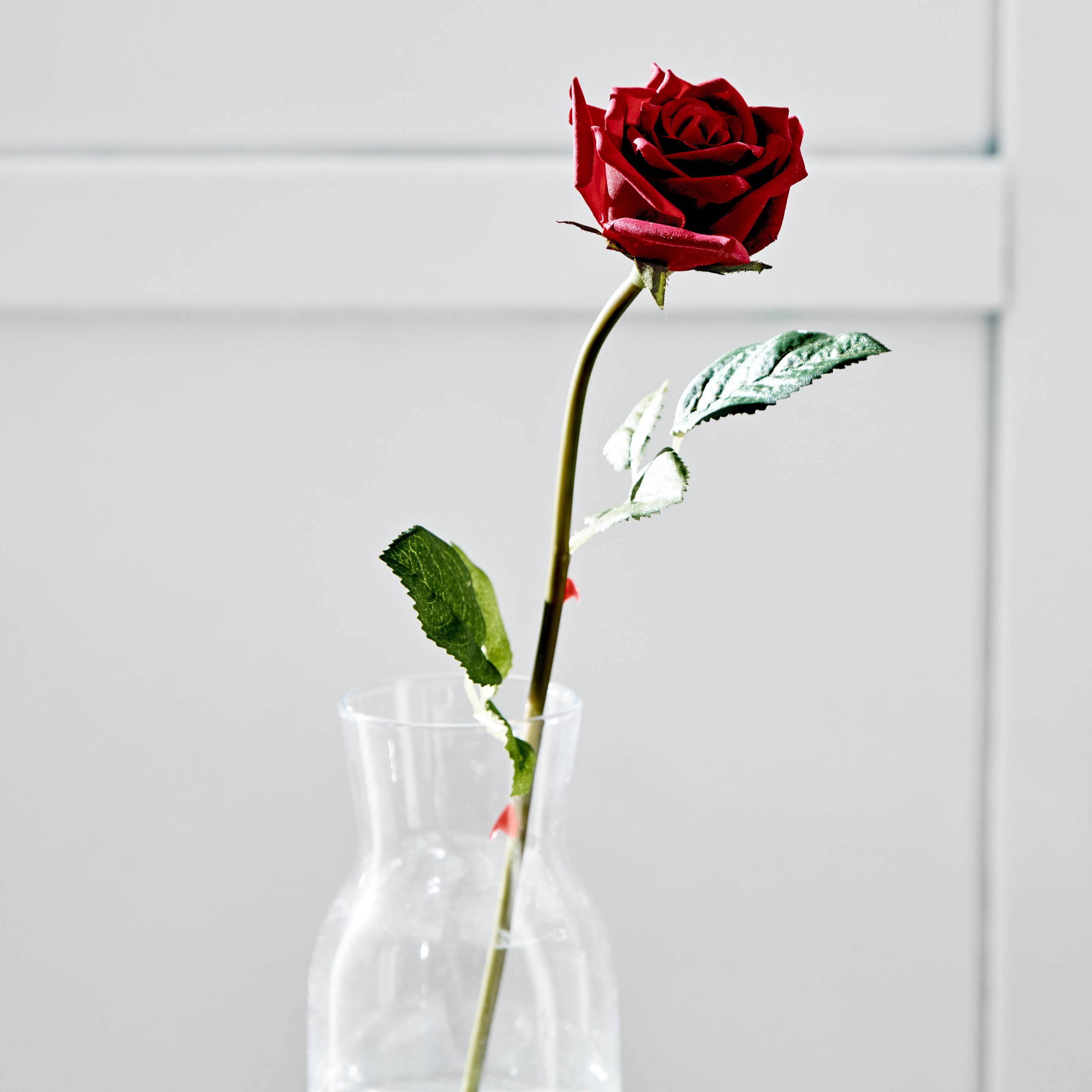 جذع وردة حمراء مفردة من فلور ريل تاتش - 8x8x45.7 سم-hbxdecorandfurnishings-homeaccessories-artificialflowersandplants-image-2