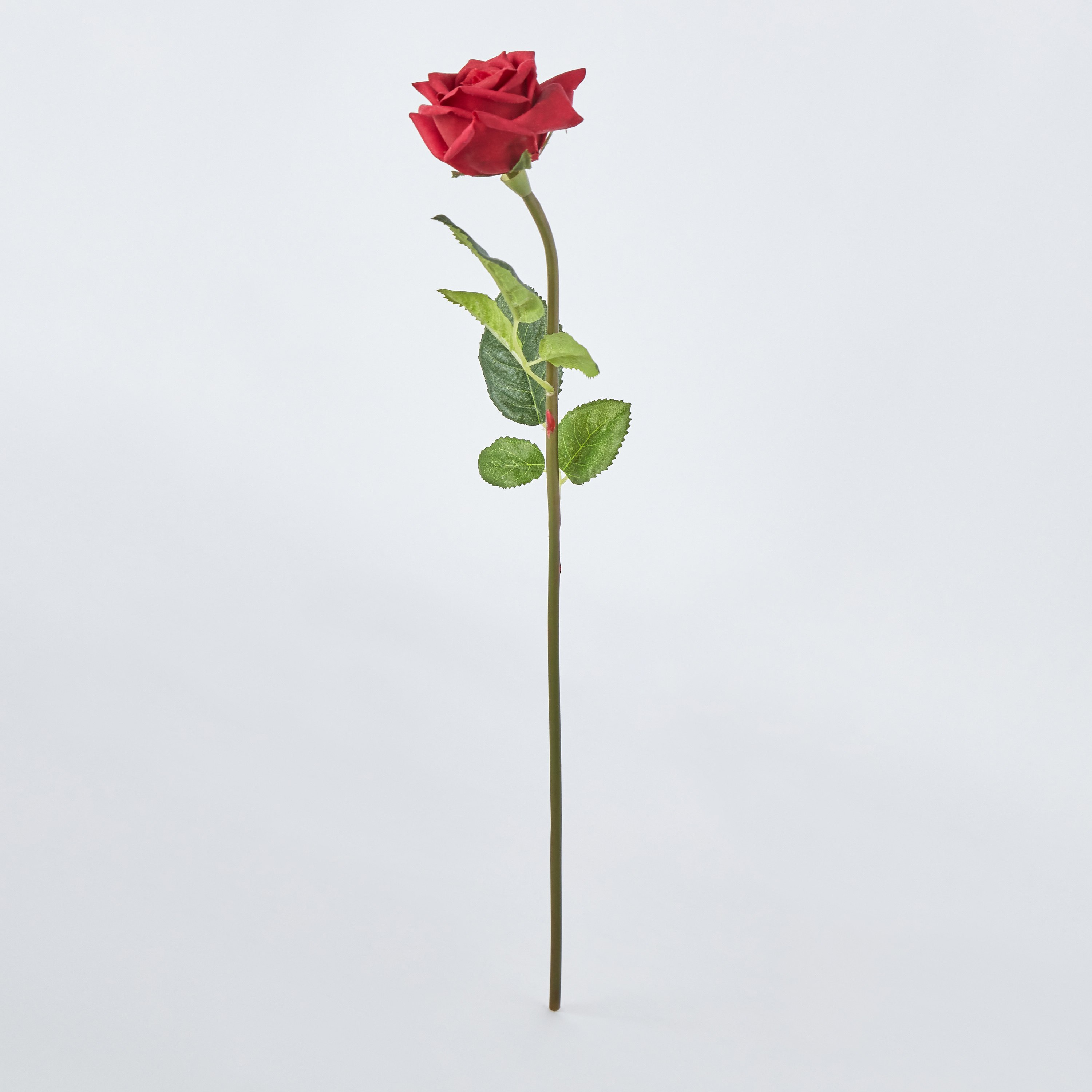جذع وردة حمراء مفردة من فلور ريل تاتش - 8x8x45.7 سم-hbxdecorandfurnishings-homeaccessories-artificialflowersandplants-image-5