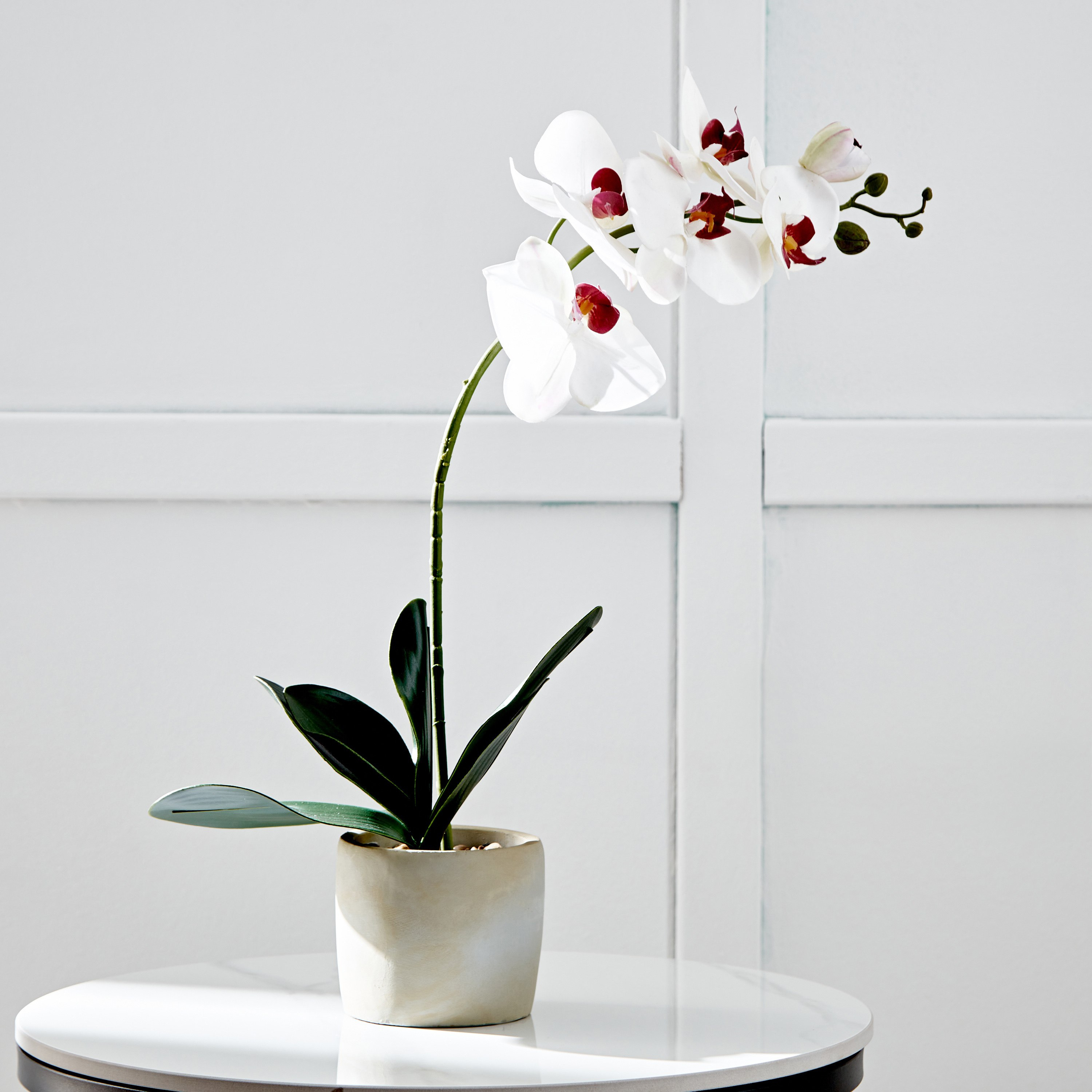 Fleur Single White Orchid Spray In Pot - 10x10x25 cm-hbxdecorandfurnishings-homeaccessories-artificialflowersandplants-image-1