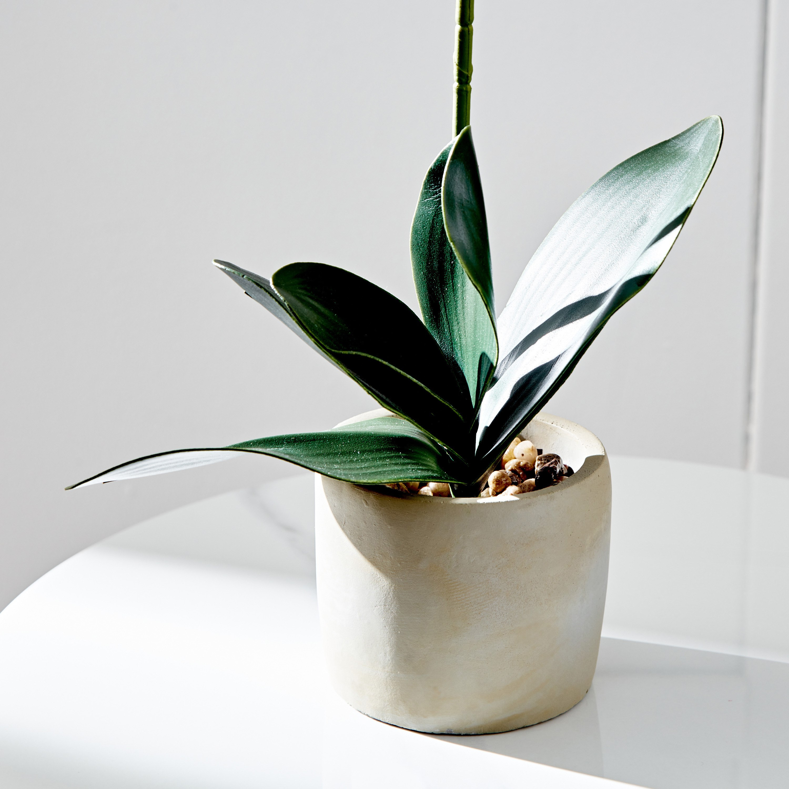 Fleur Single White Orchid Spray In Pot - 10x10x25 cm-hbxdecorandfurnishings-homeaccessories-artificialflowersandplants-image-2
