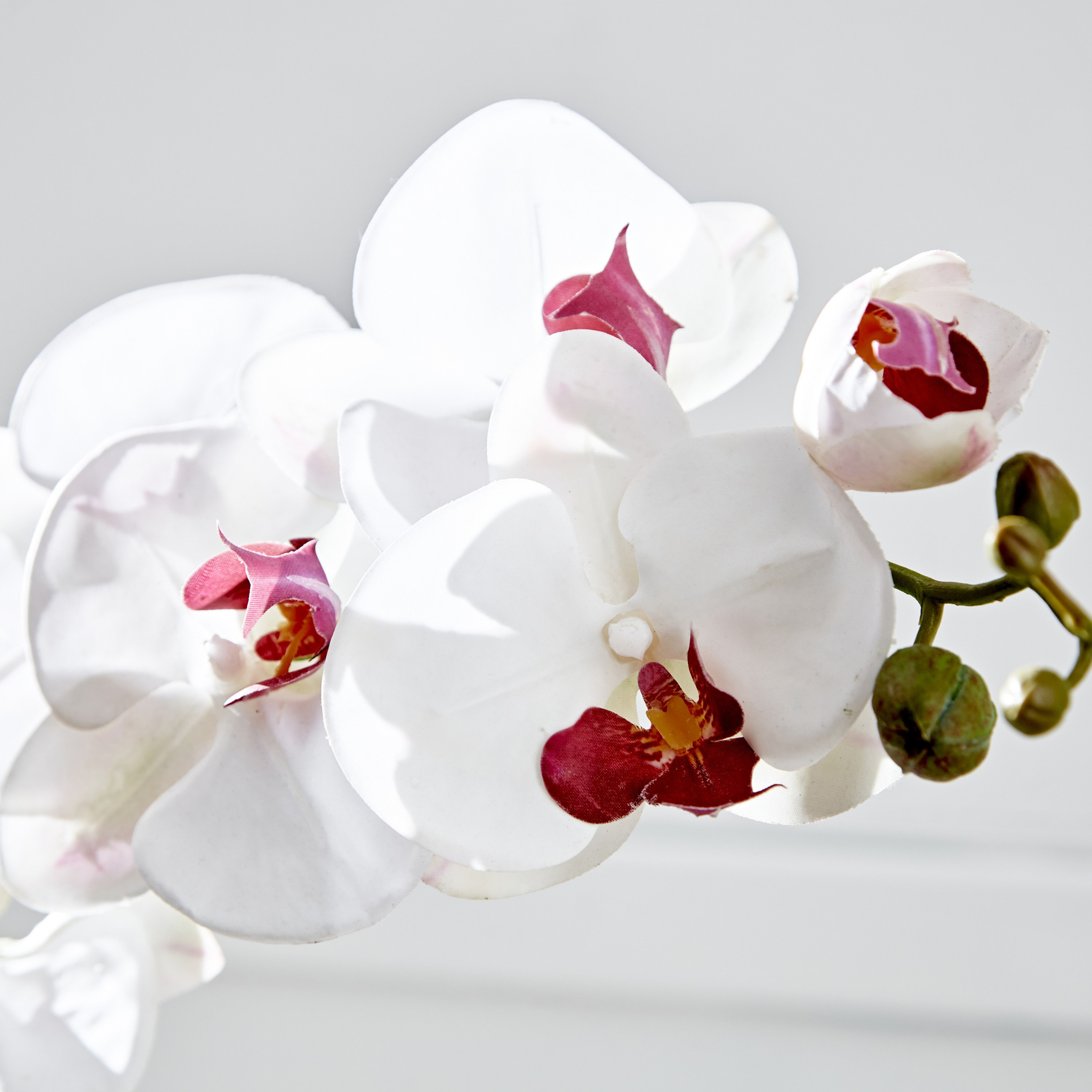 Fleur Single White Orchid Spray In Pot - 10x10x25 cm-hbxdecorandfurnishings-homeaccessories-artificialflowersandplants-image-3