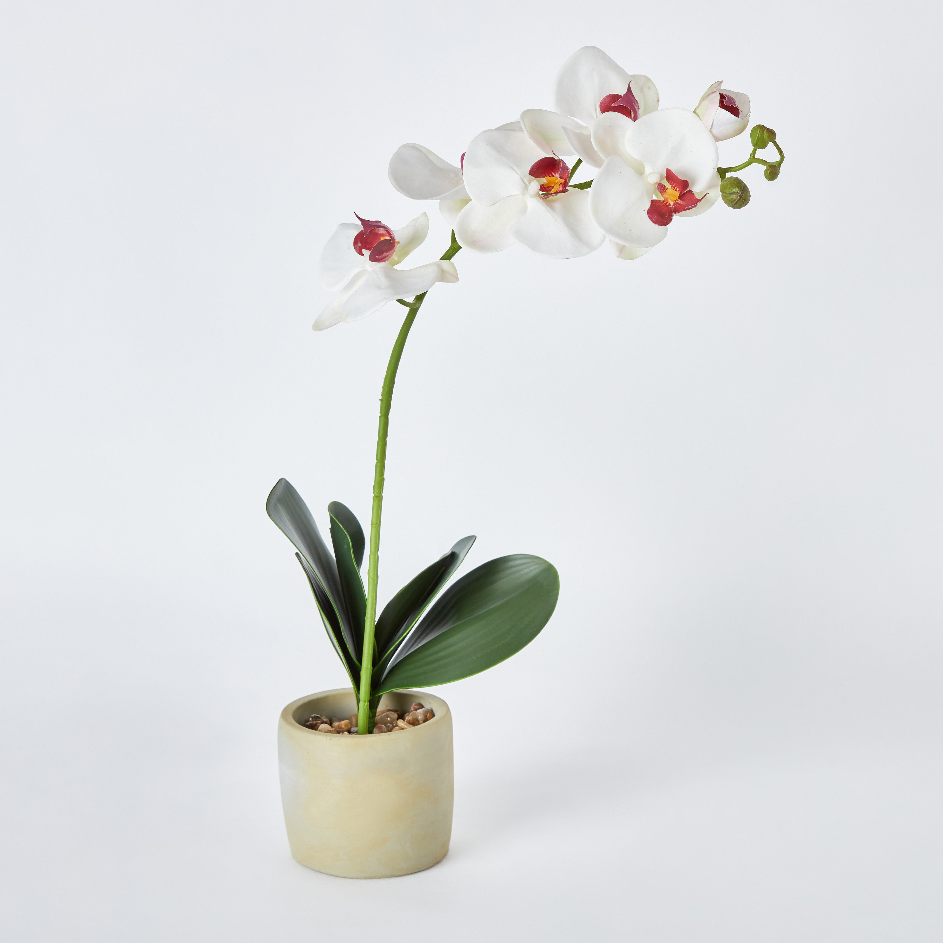 Fleur Single White Orchid Spray In Pot - 10x10x25 cm-hbxdecorandfurnishings-homeaccessories-artificialflowersandplants-image-5
