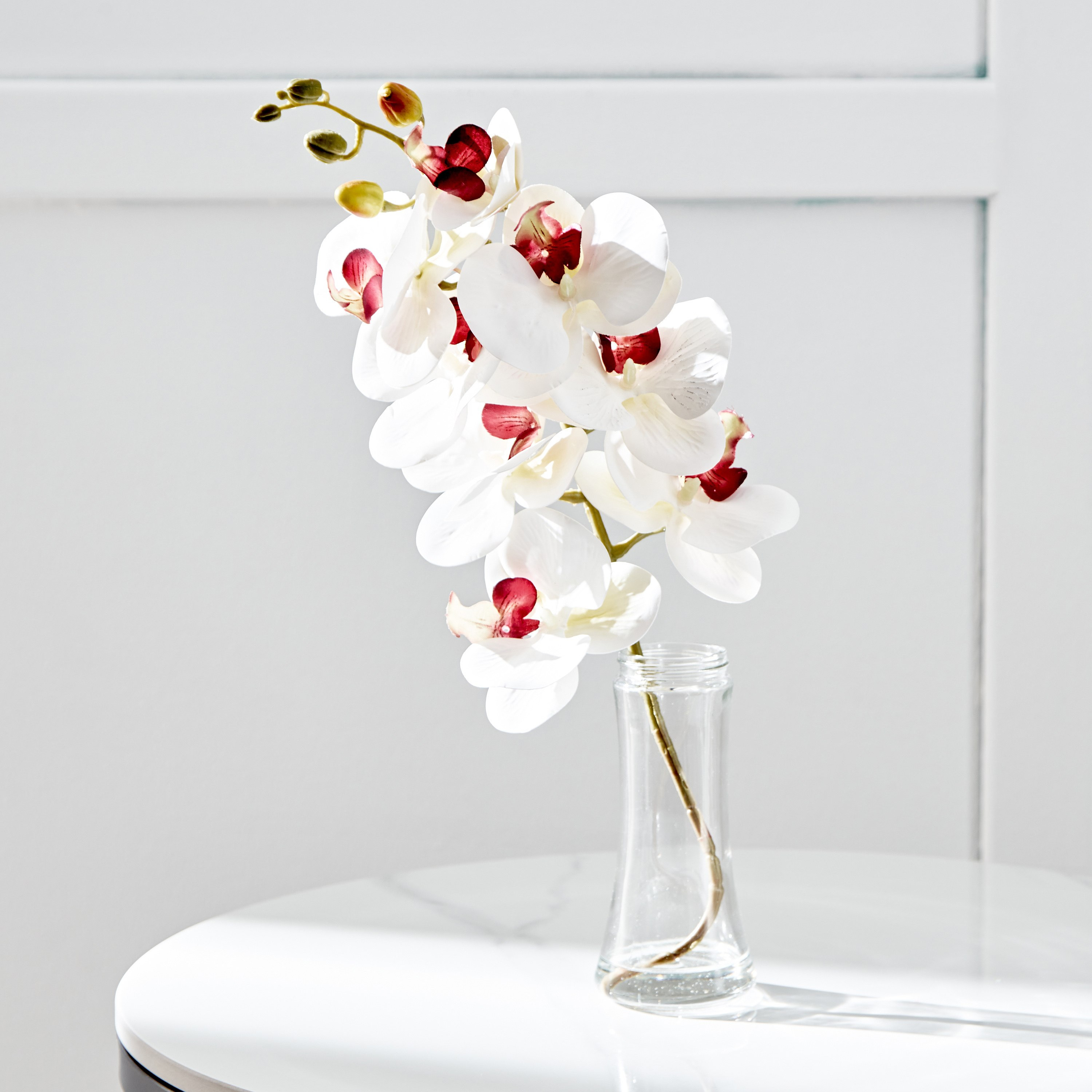 زهرة أوركيد في قارورة زجاج من فلور - 12x12x40.5 سم-hbxdecorandfurnishings-homeaccessories-artificialflowersandplants-image-1