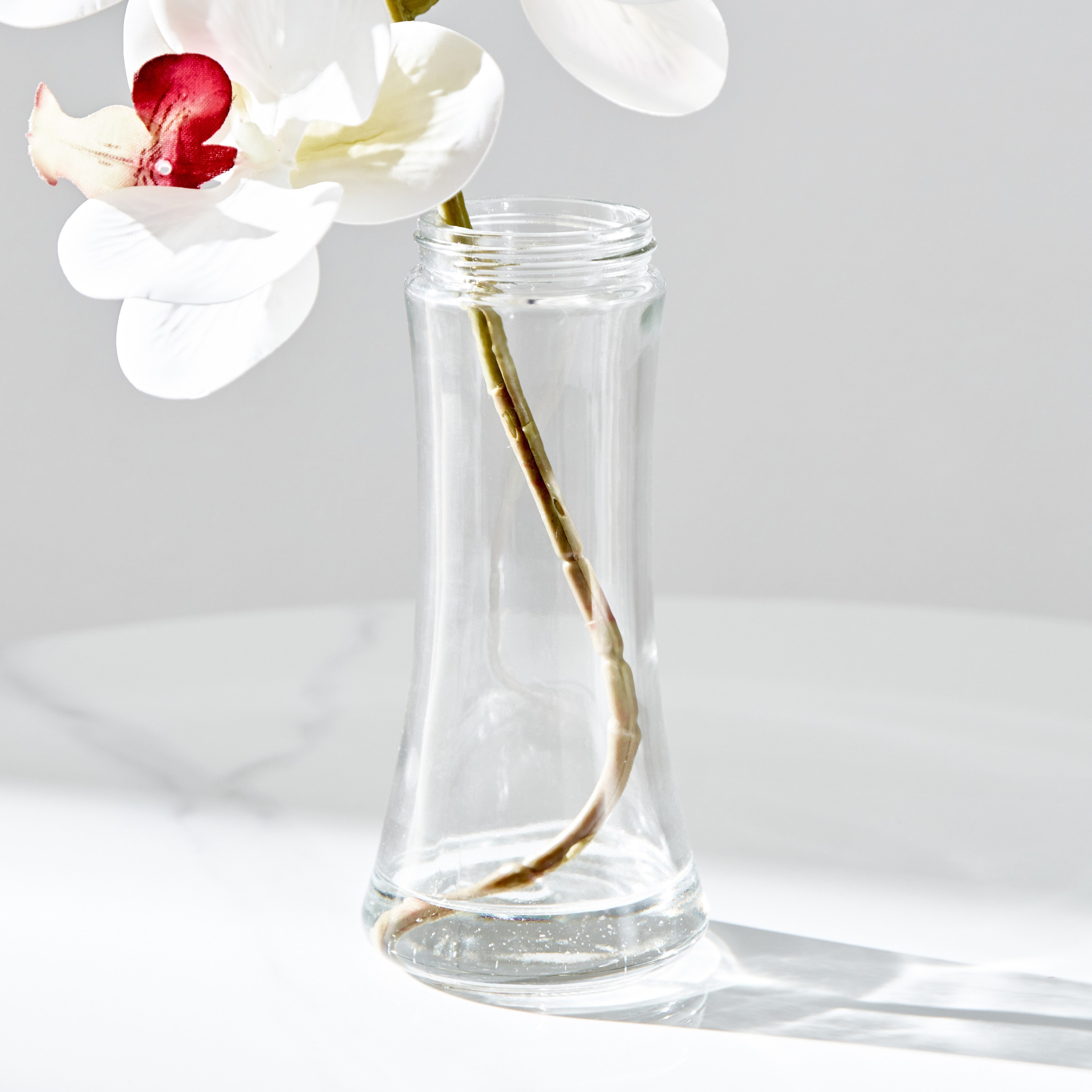 زهرة أوركيد في قارورة زجاج من فلور - 12x12x40.5 سم-hbxdecorandfurnishings-homeaccessories-artificialflowersandplants-image-2