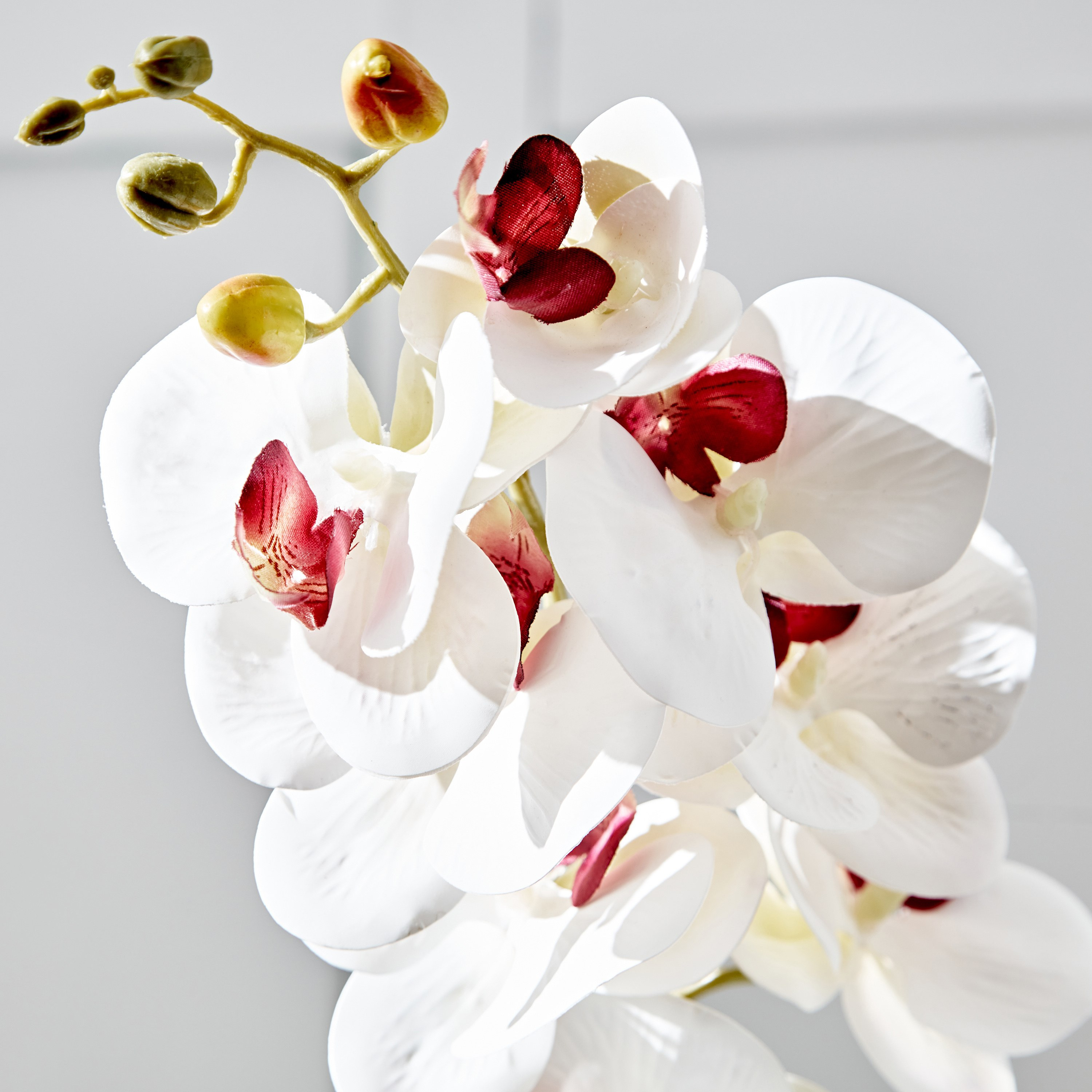 زهرة أوركيد في قارورة زجاج من فلور - 12x12x40.5 سم-hbxdecorandfurnishings-homeaccessories-artificialflowersandplants-image-3