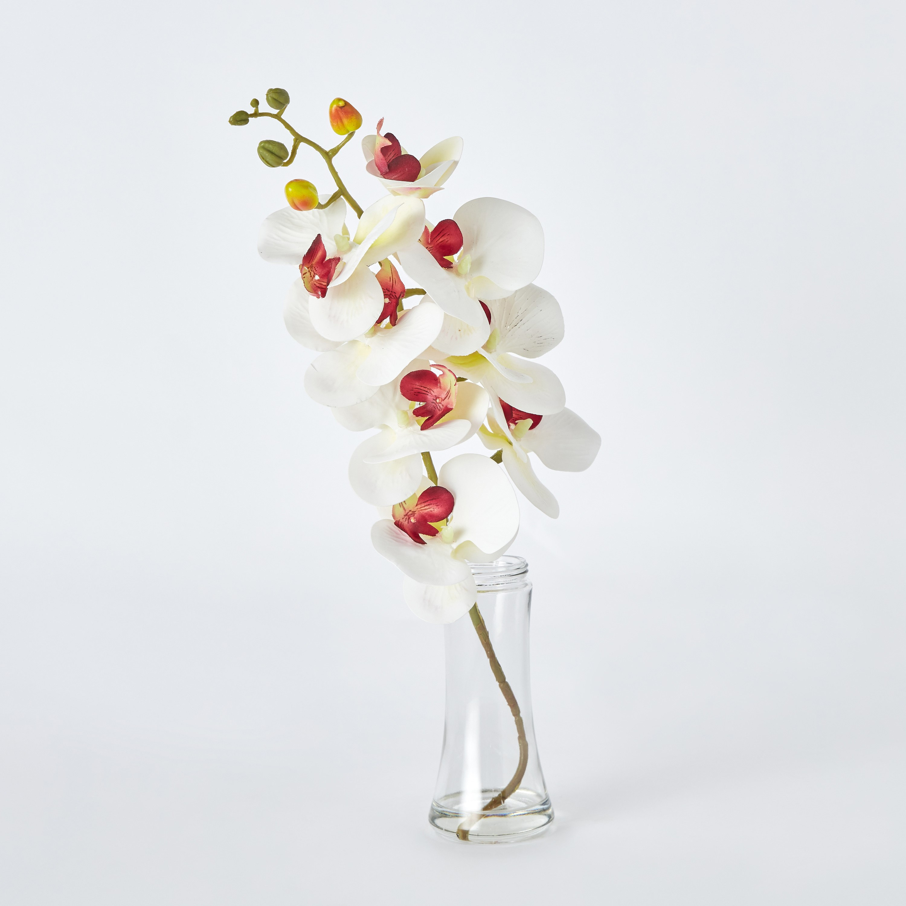 زهرة أوركيد في قارورة زجاج من فلور - 12x12x40.5 سم-hbxdecorandfurnishings-homeaccessories-artificialflowersandplants-image-5