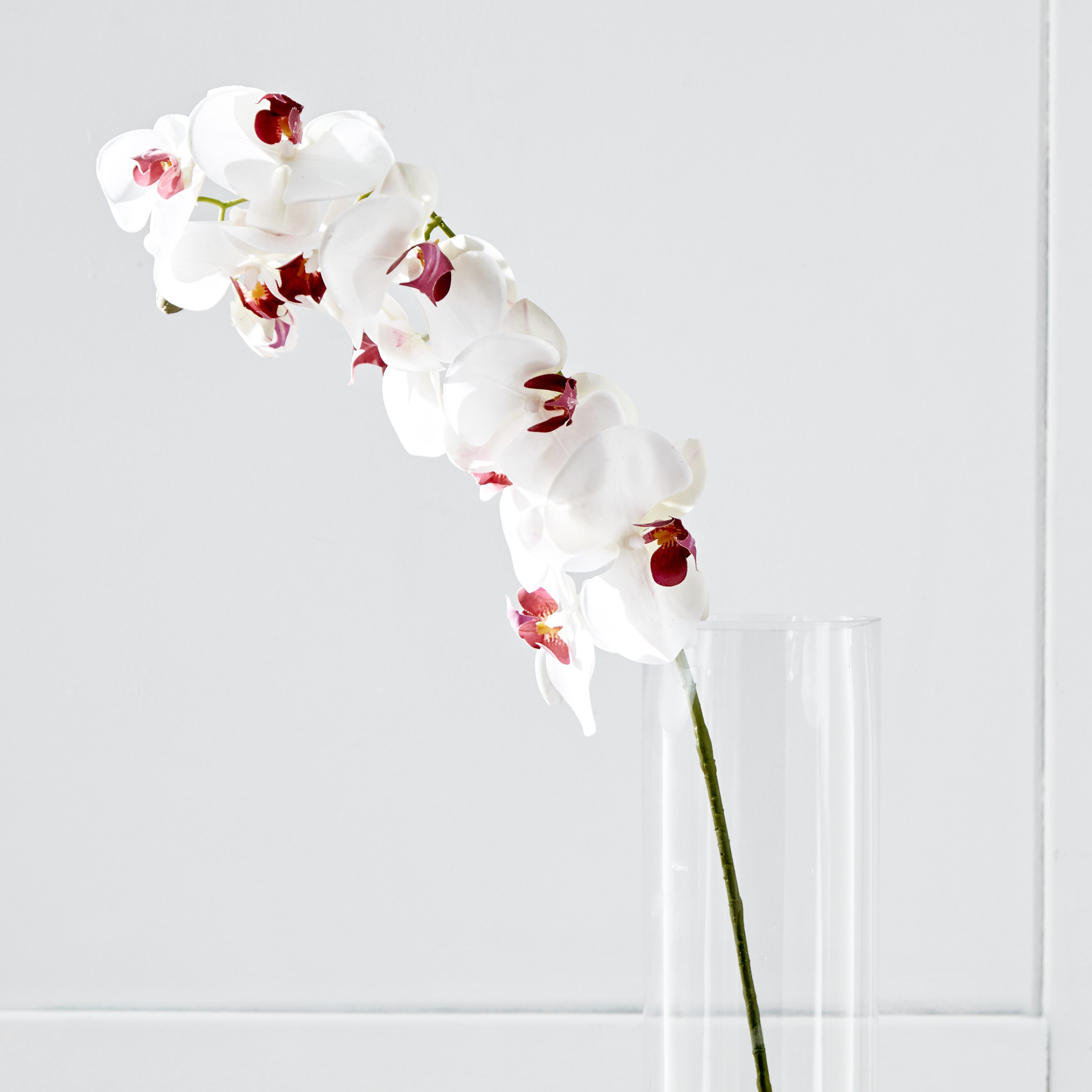 جذع أوركيد من فلور - 100 سم-hbxdecorandfurnishings-homeaccessories-artificialflowersandplants-image-2
