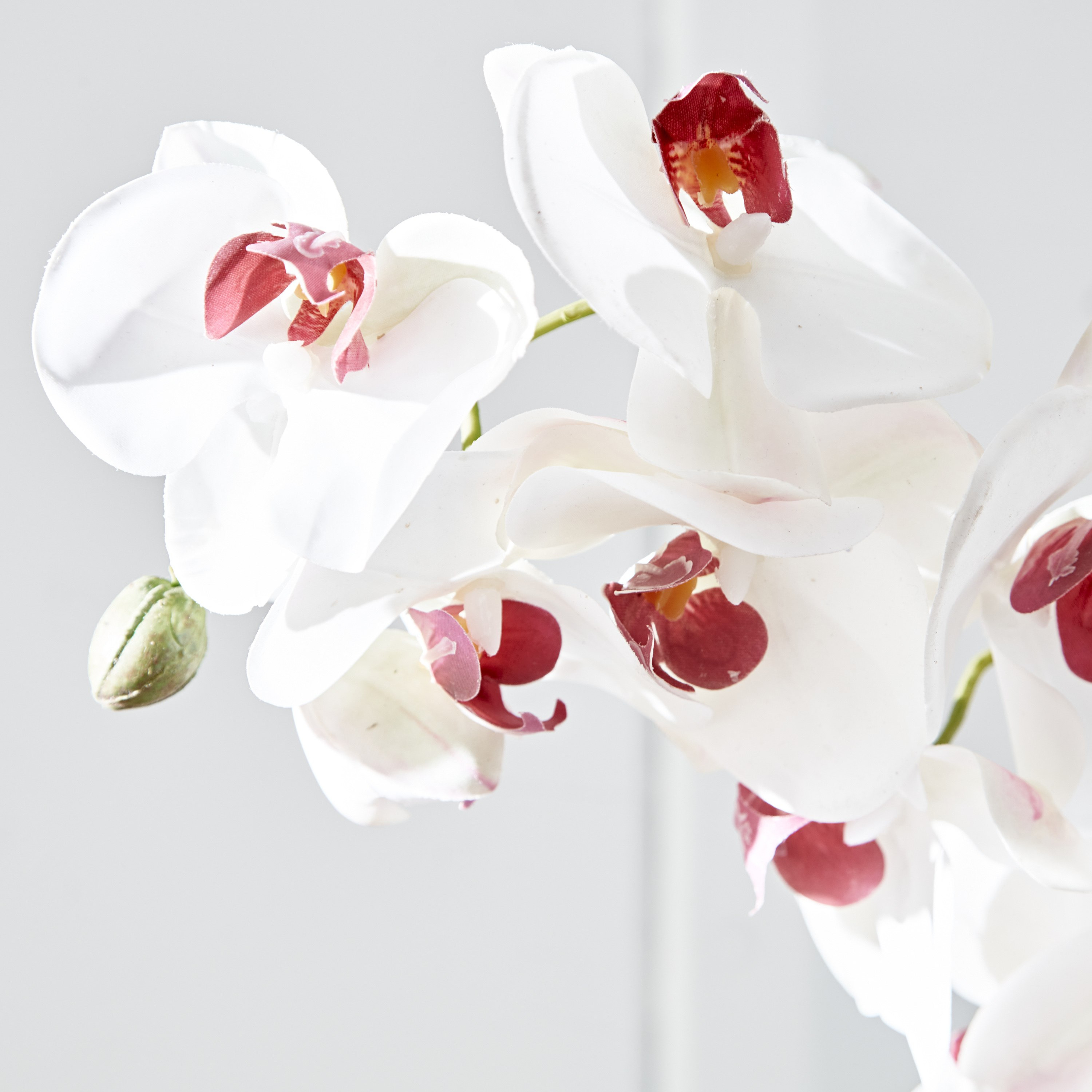 جذع أوركيد من فلور - 100 سم-hbxdecorandfurnishings-homeaccessories-artificialflowersandplants-image-3