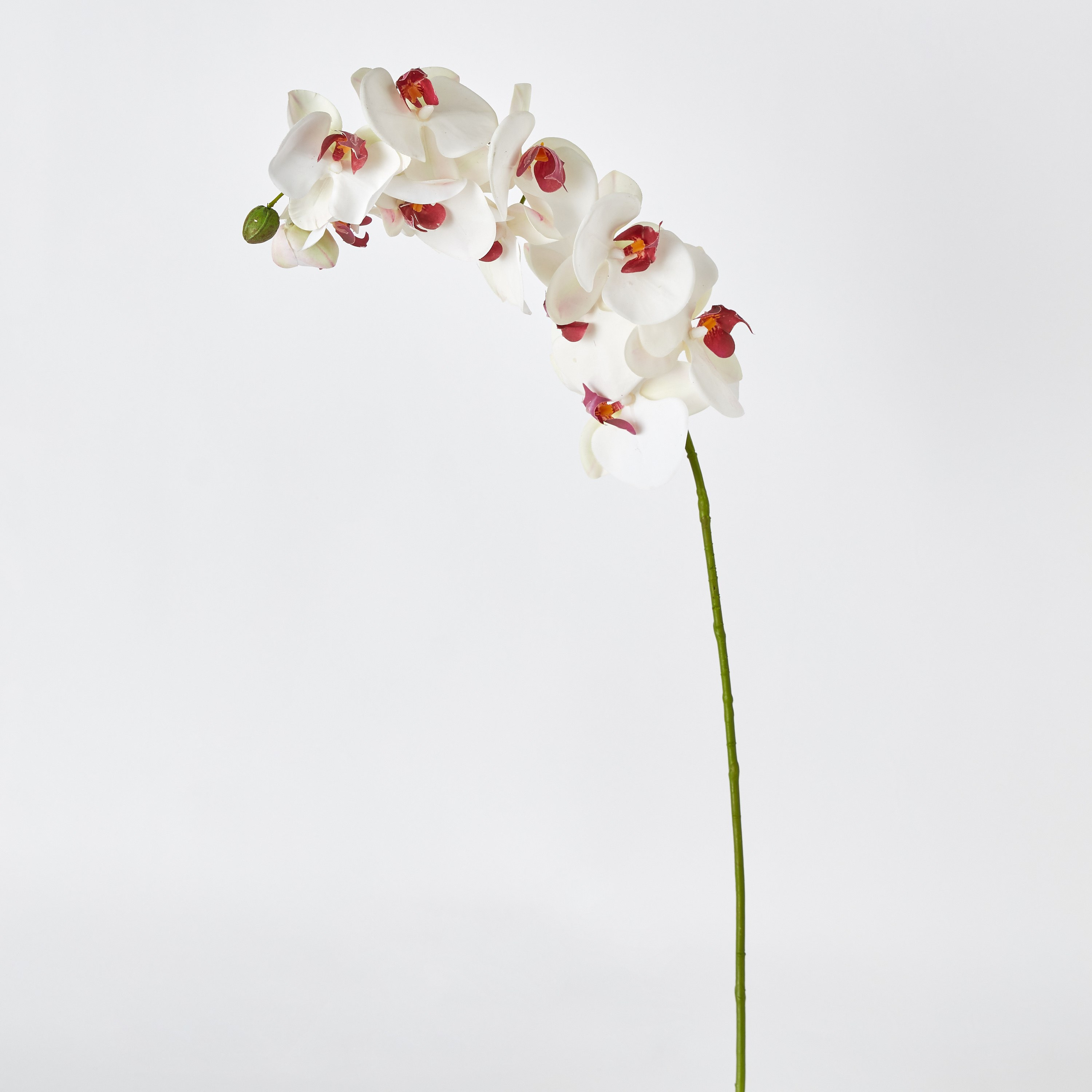 جذع أوركيد من فلور - 100 سم-hbxdecorandfurnishings-homeaccessories-artificialflowersandplants-image-5