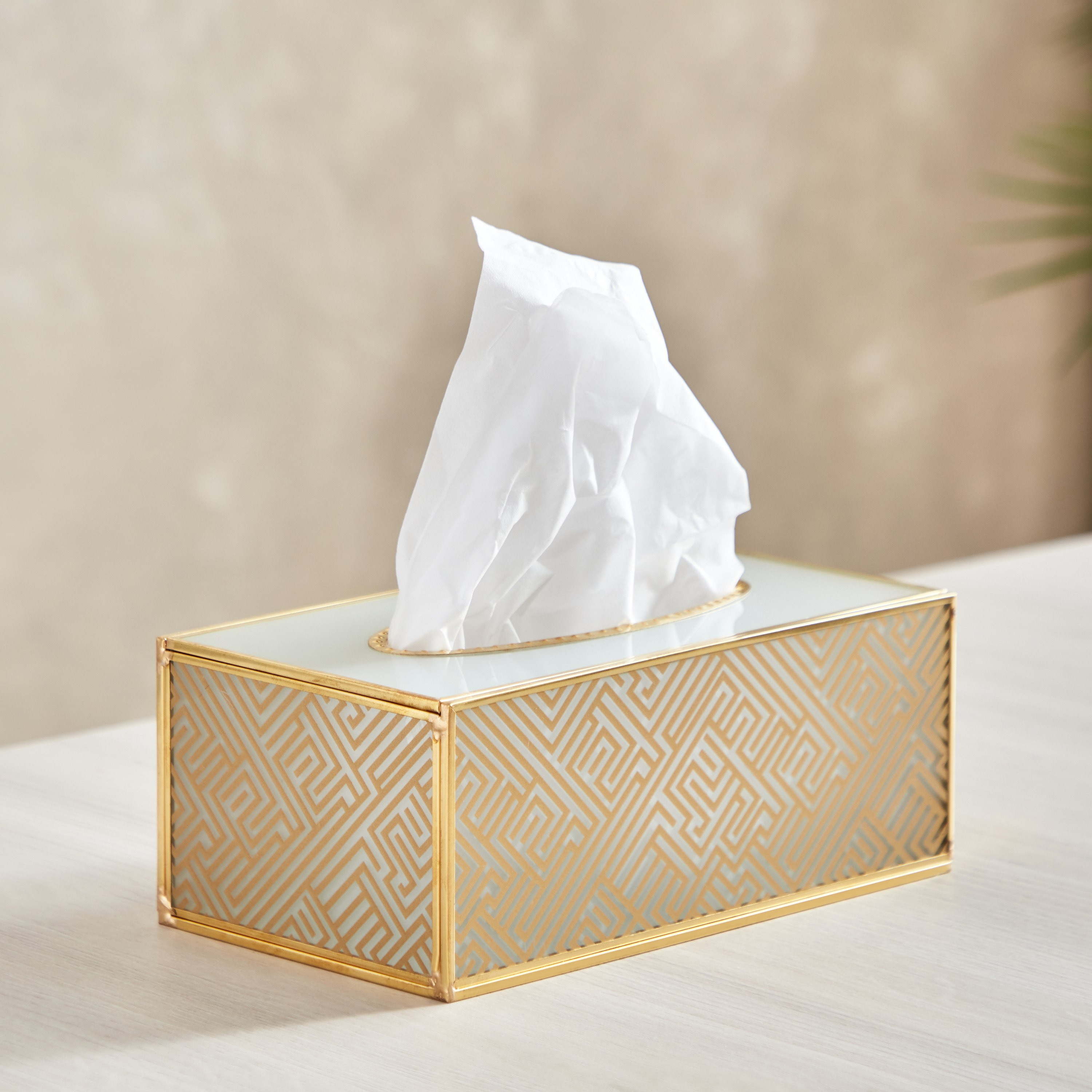 علبة مناديل نمط مكناس من أدرو - 20x11.5x8 سم-hbxdecorandfurnishings-homeaccessories-novelties-image-1