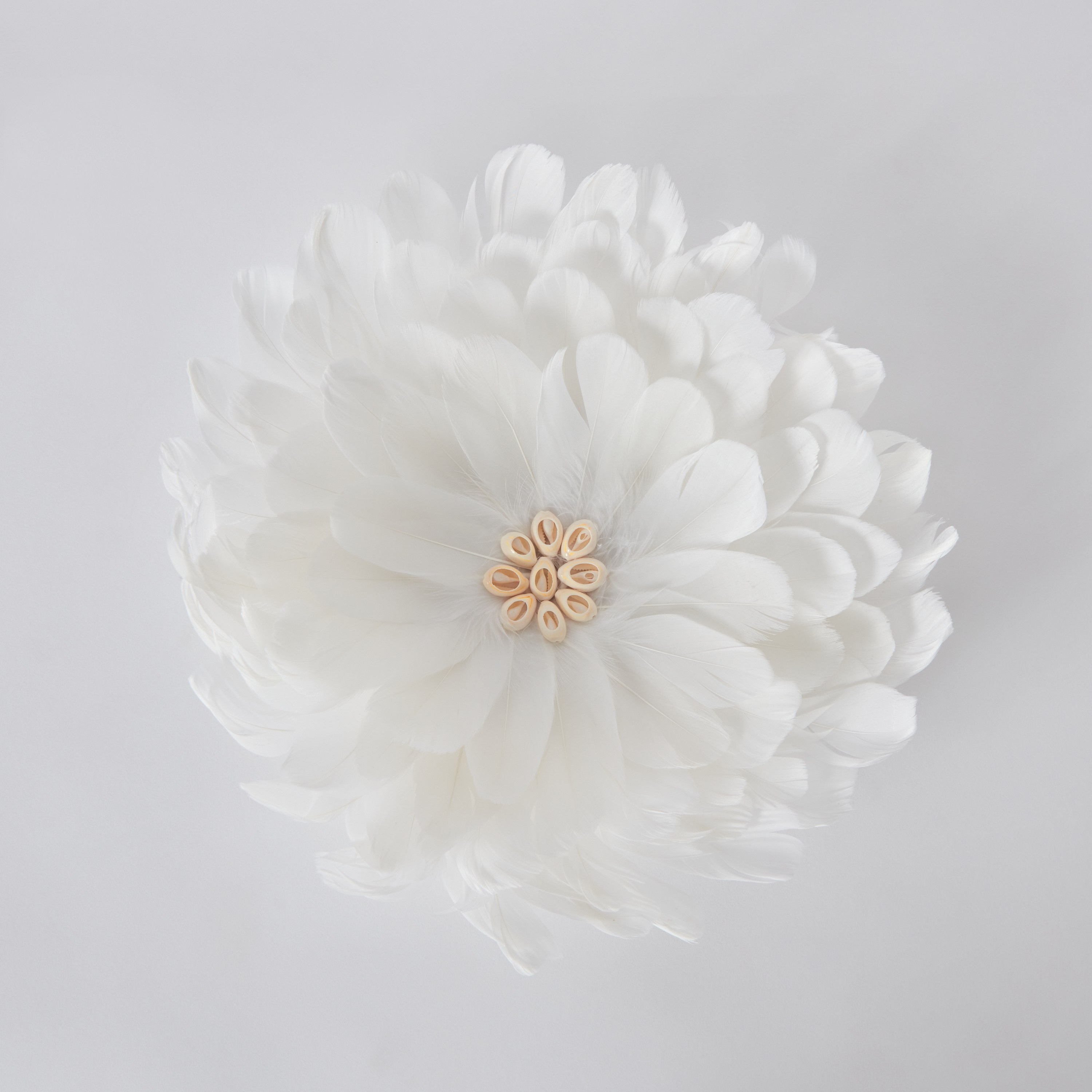 ديكور حائط ريش وورق من روتانا - 33 سم-hbxlivingroom-walldecor-wallart-image-5
