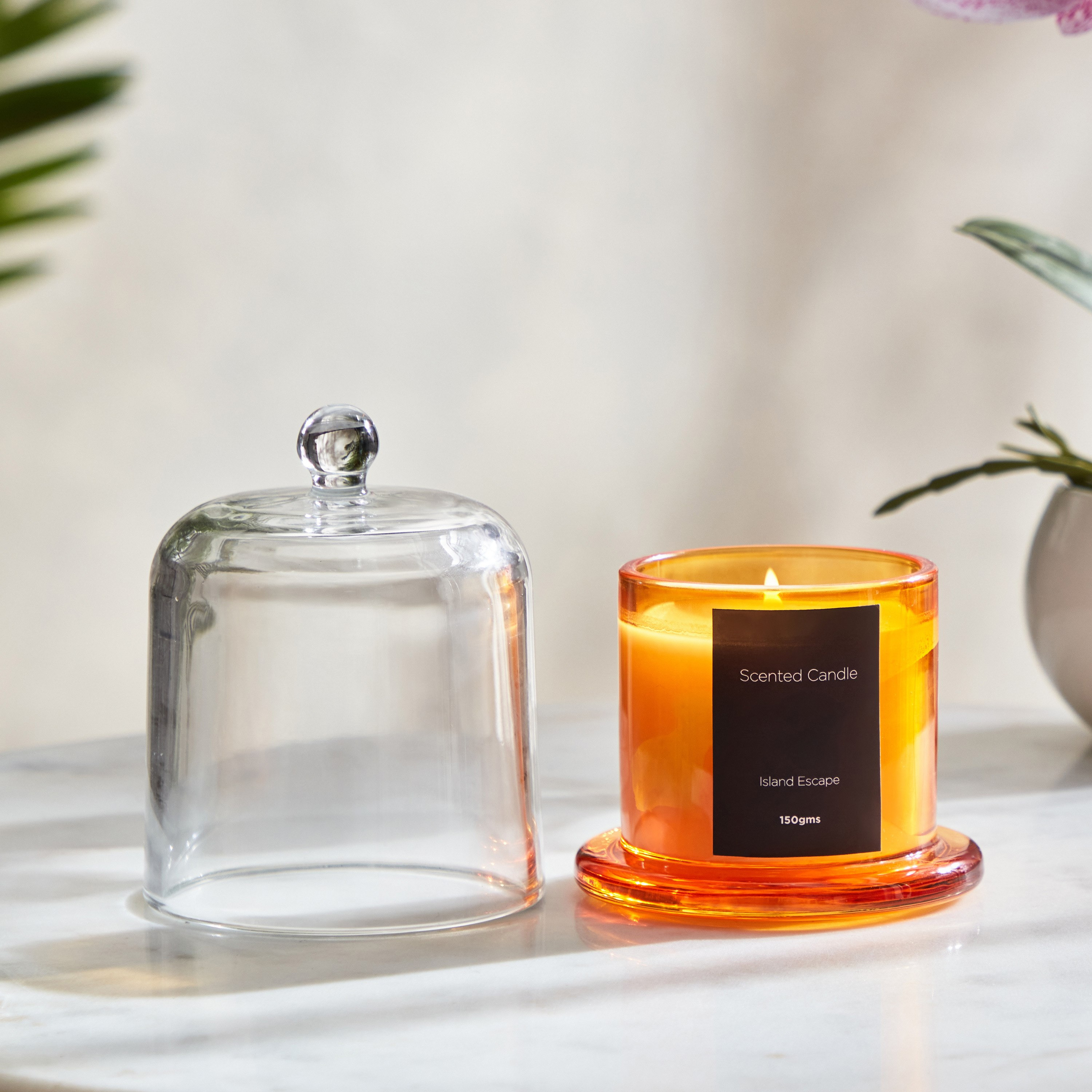 Balmy Island Escape Scented Candle - 150 gm-hbxlivingroom-decorandaccessories-candles-image-1