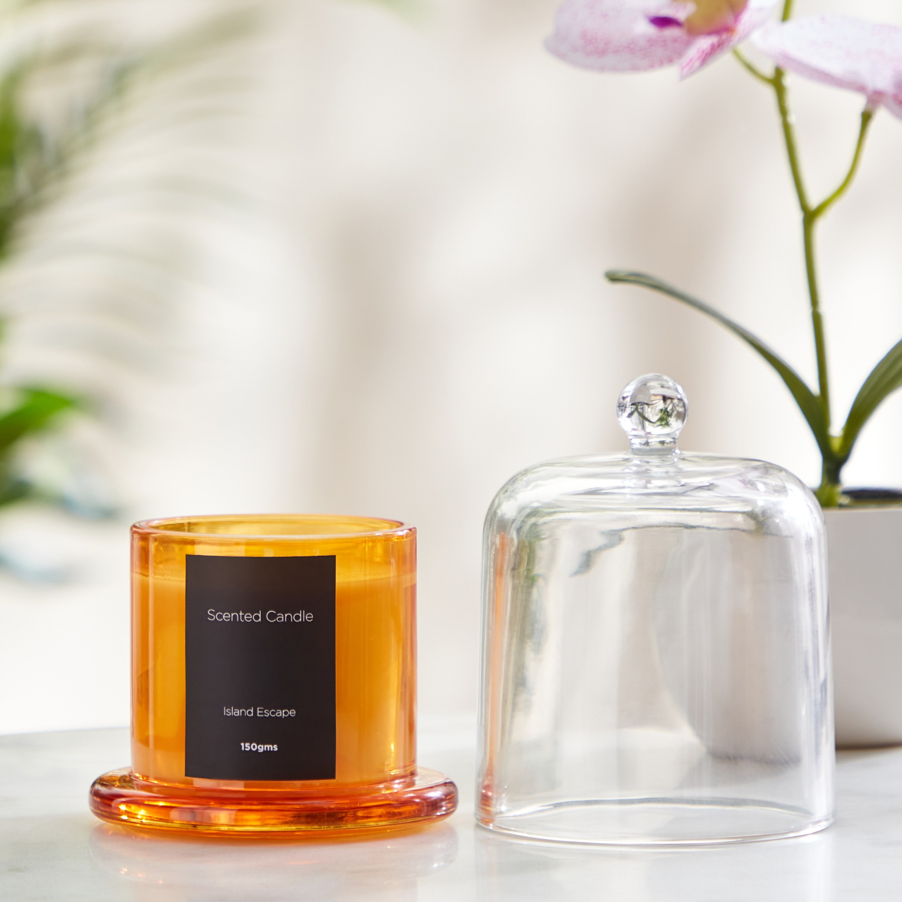 Balmy Island Escape Scented Candle - 150 gm-hbxlivingroom-decorandaccessories-candles-image-2