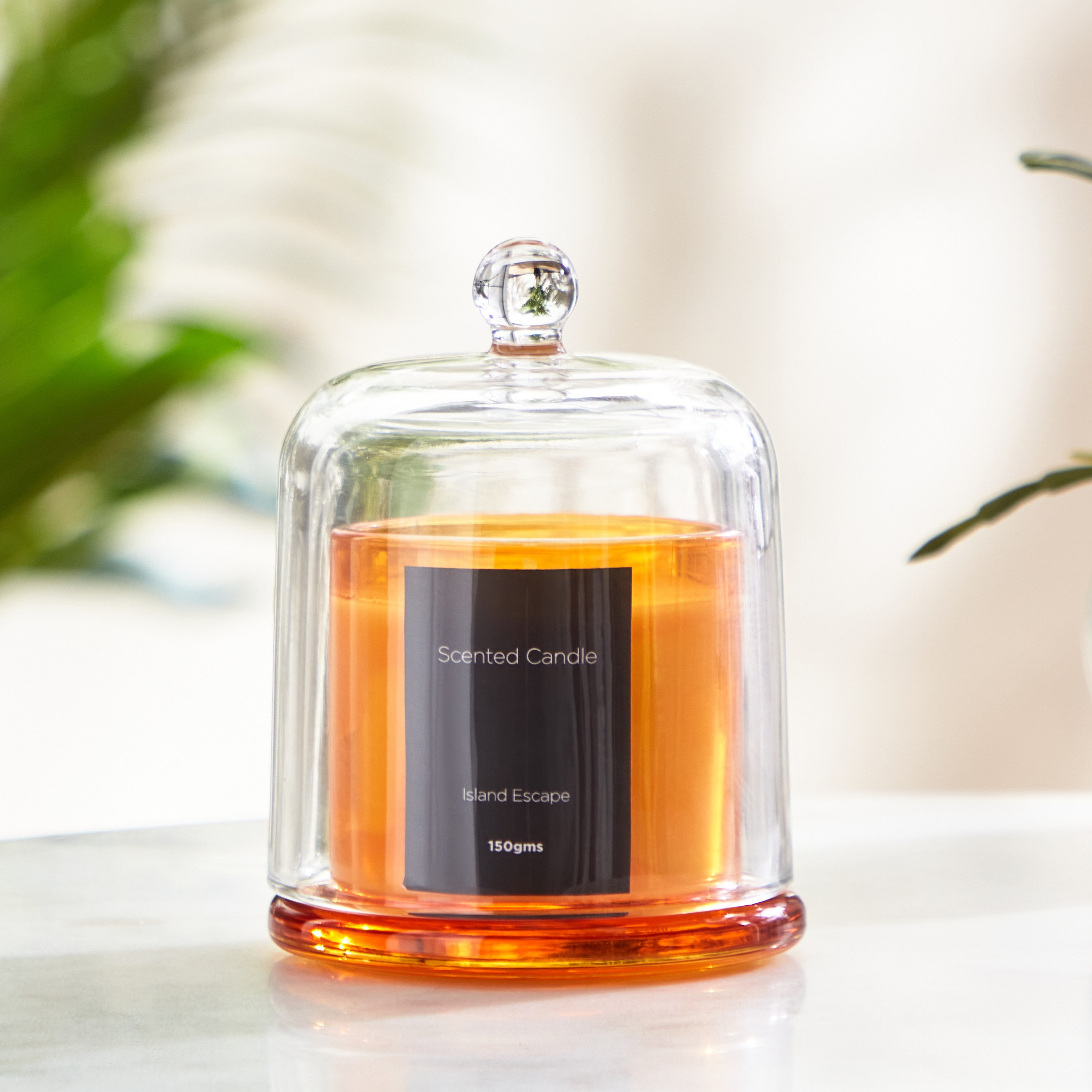 Balmy Island Escape Scented Candle - 150 gm-hbxlivingroom-decorandaccessories-candles-image-3