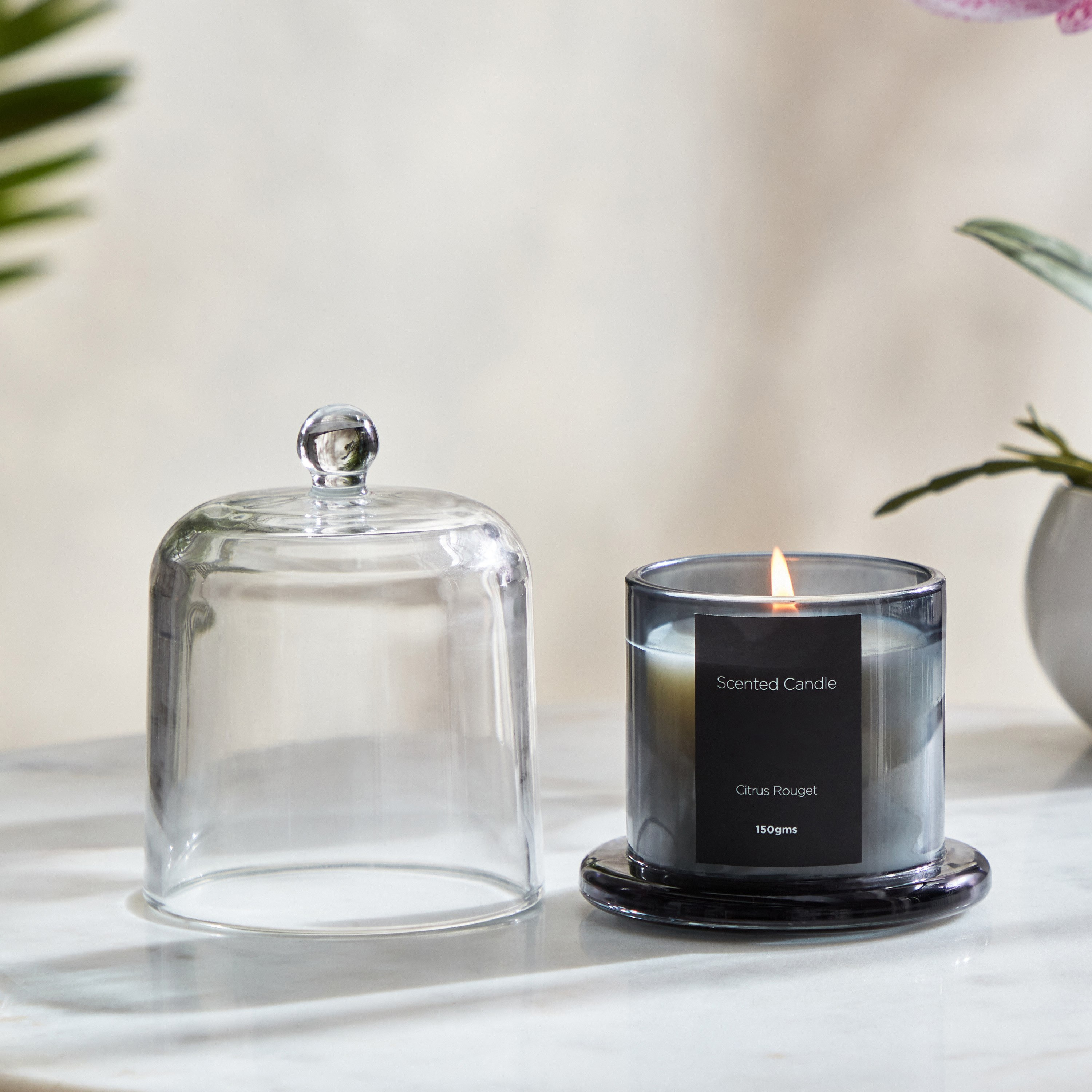 شمعة معطرة برائحة سيتروس روج من بالمي - 150 جم-PROMO_QA_HB_B1G1_WWS_271025-image-1