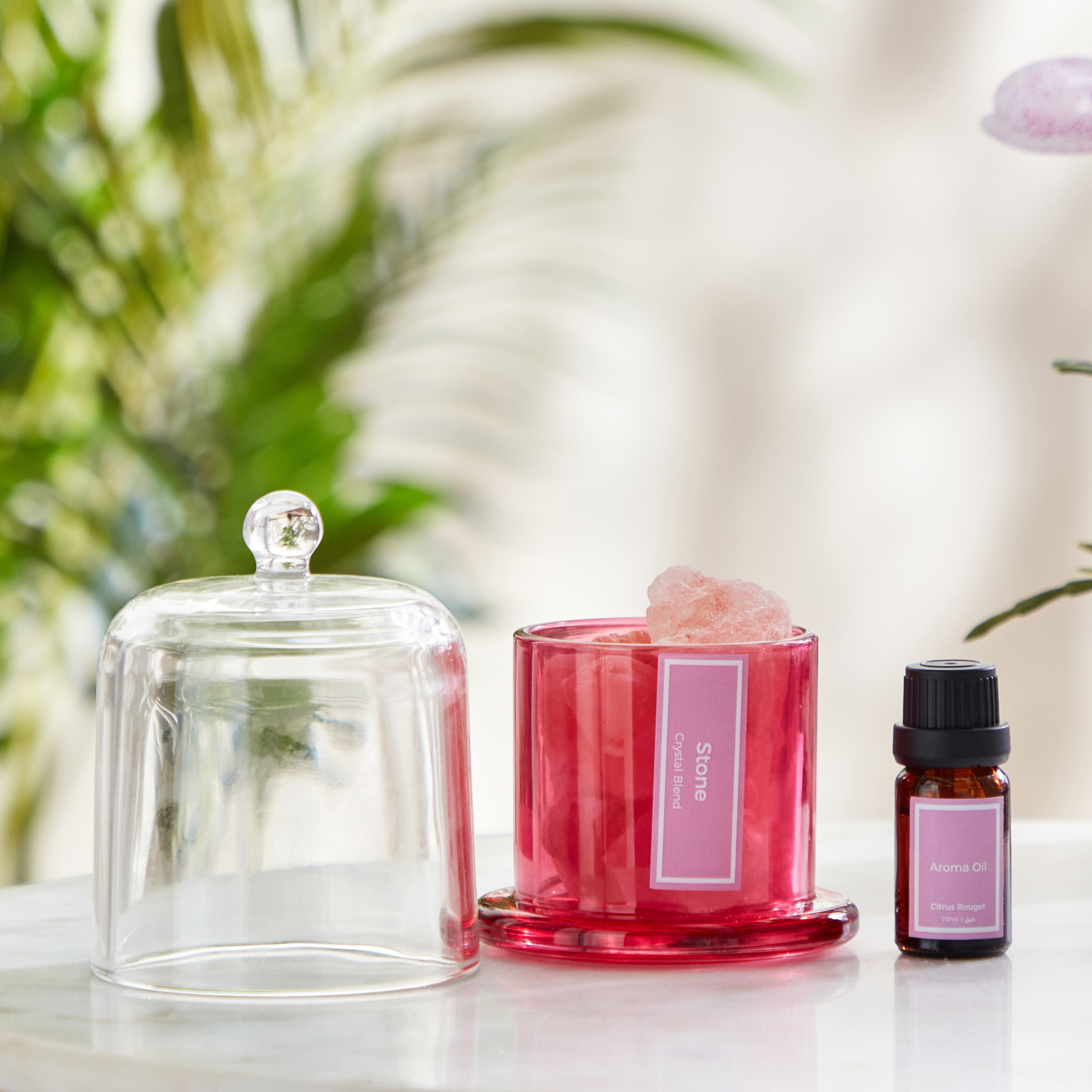 جرة عطور زجاج برائحة سيتروس روج من بالمي - 210 جم-hbxdecorandfurnishings-homefragrance-roomfreshnersandaromamist-image-2
