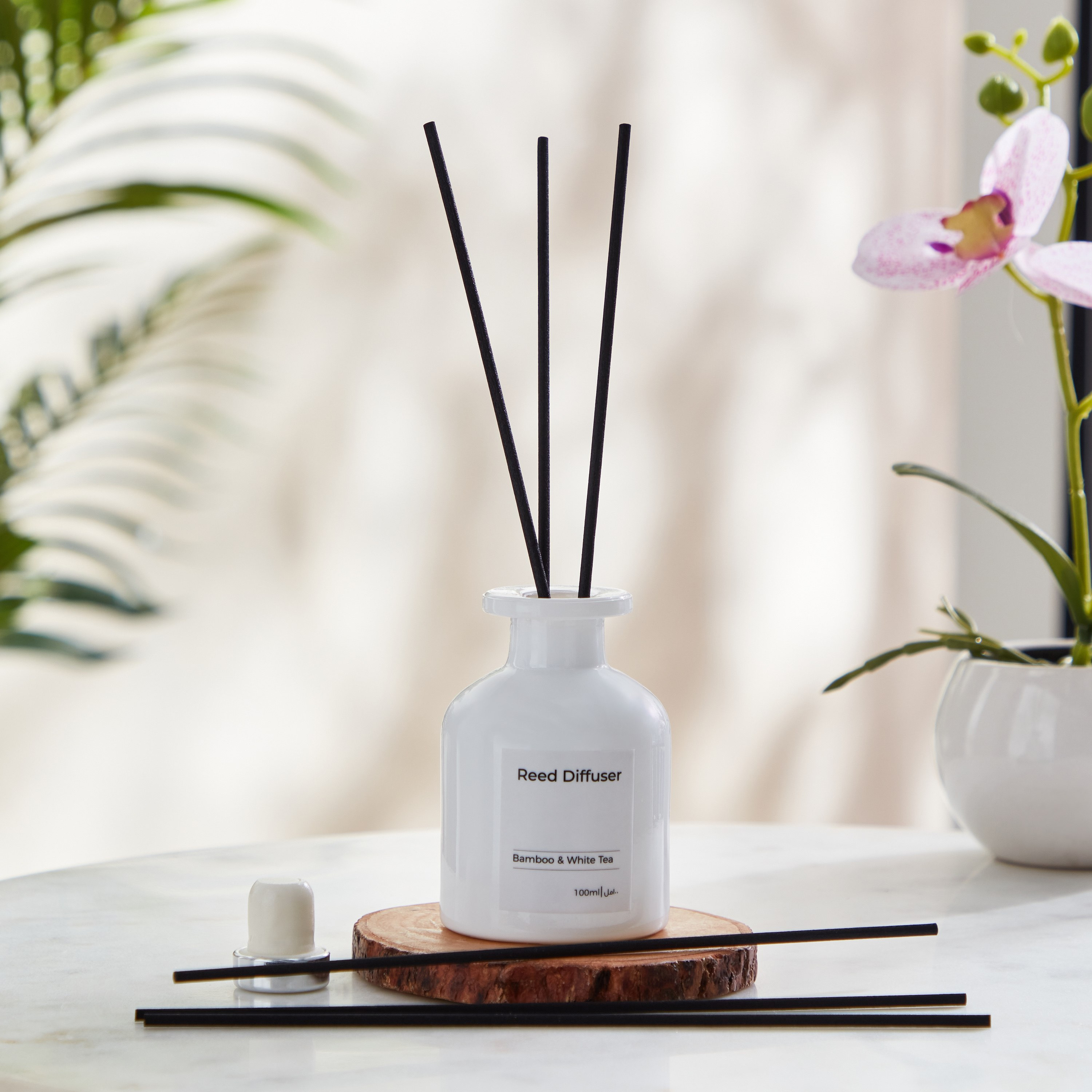 Balmy Bamboo and White Tea Reed Diffuser - 100 ml-PROMO_HB_AE_B2G2_011025-image-1