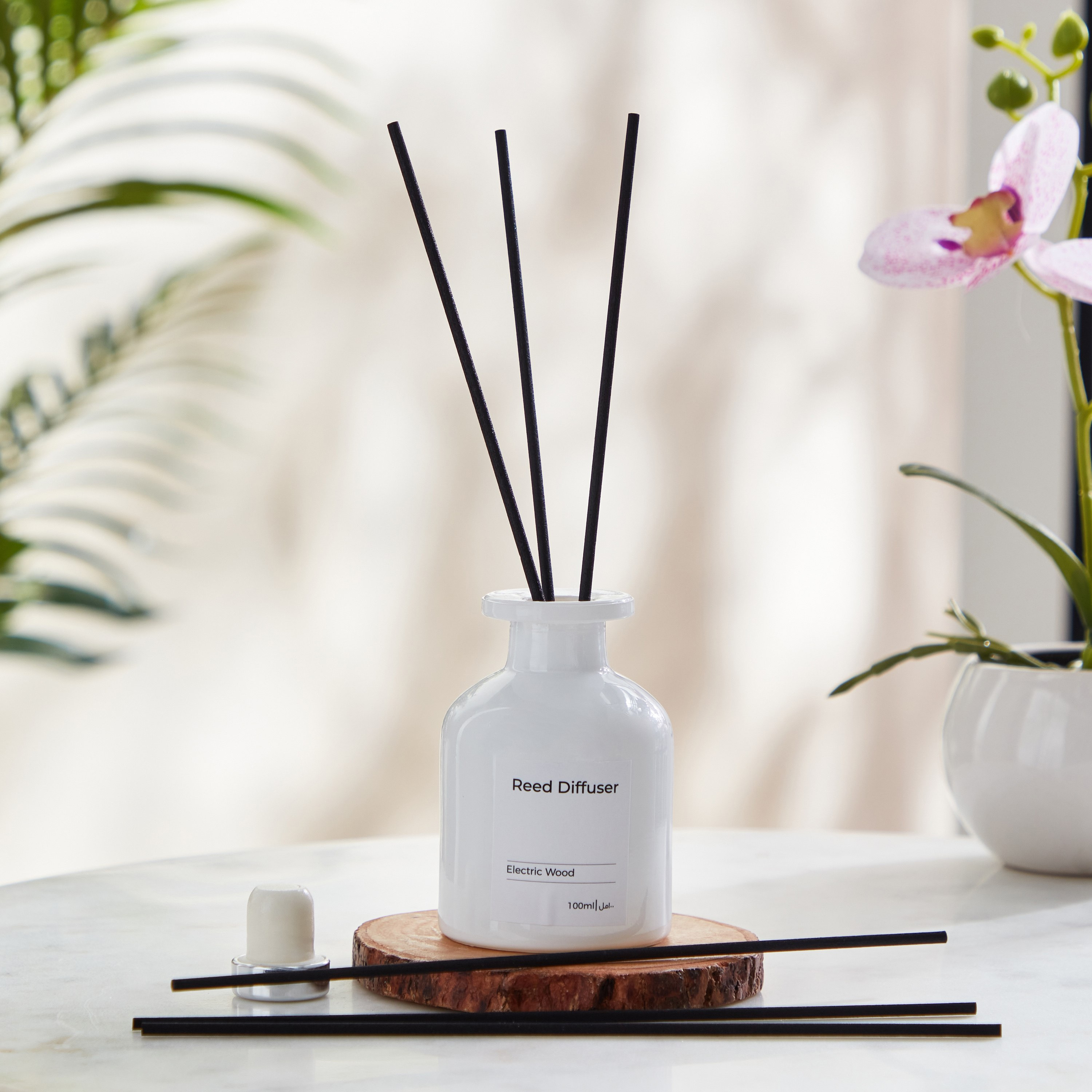 Balmy Electric Wood Reed Diffuser - 100 ml-PROMO_HB_AE_B2G2_011025-image-1
