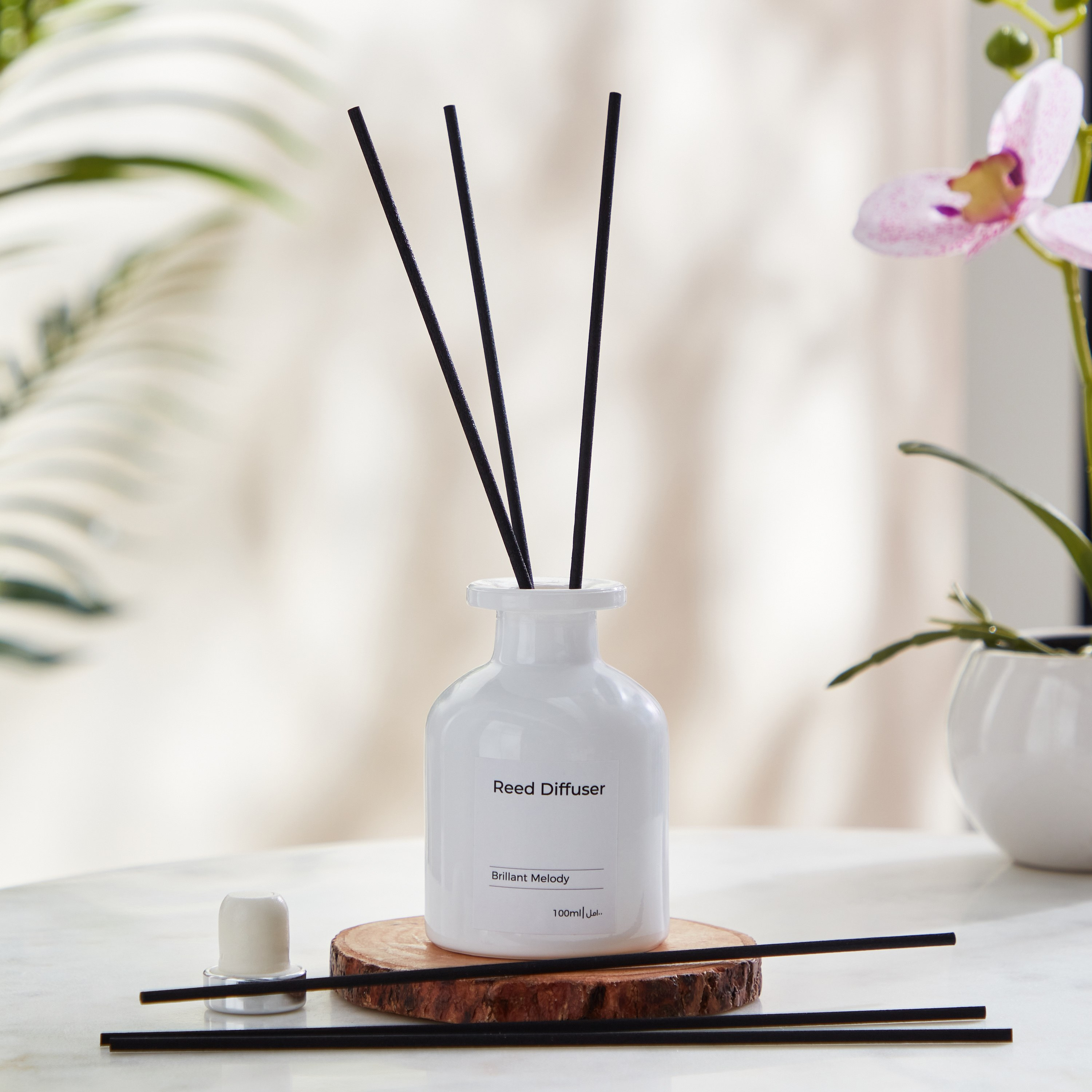 Balmy Brillant Melody Reed Diffuser - 100 ml-PROMO_HB_AE_B2G2_011025-image-1