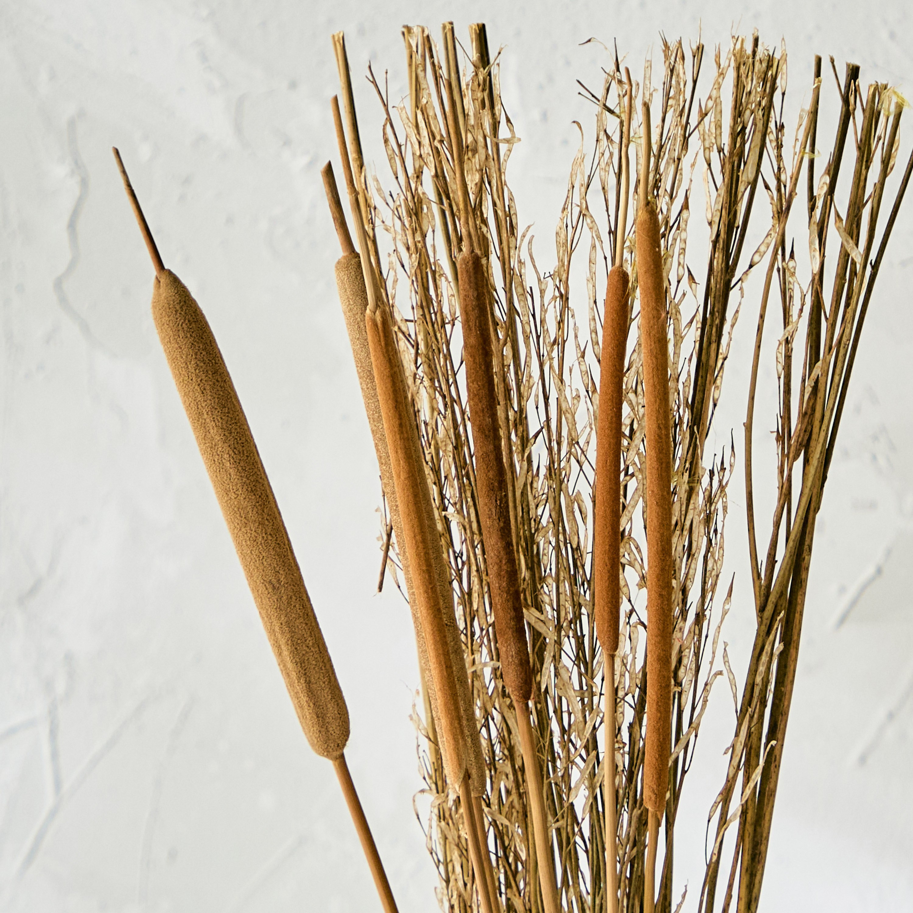 باقة عشب مجففة في صينية ورق من ميدلي- 60 سم-hbxdecorandfurnishings-homeaccessories-artificialflowersandplants-image-3