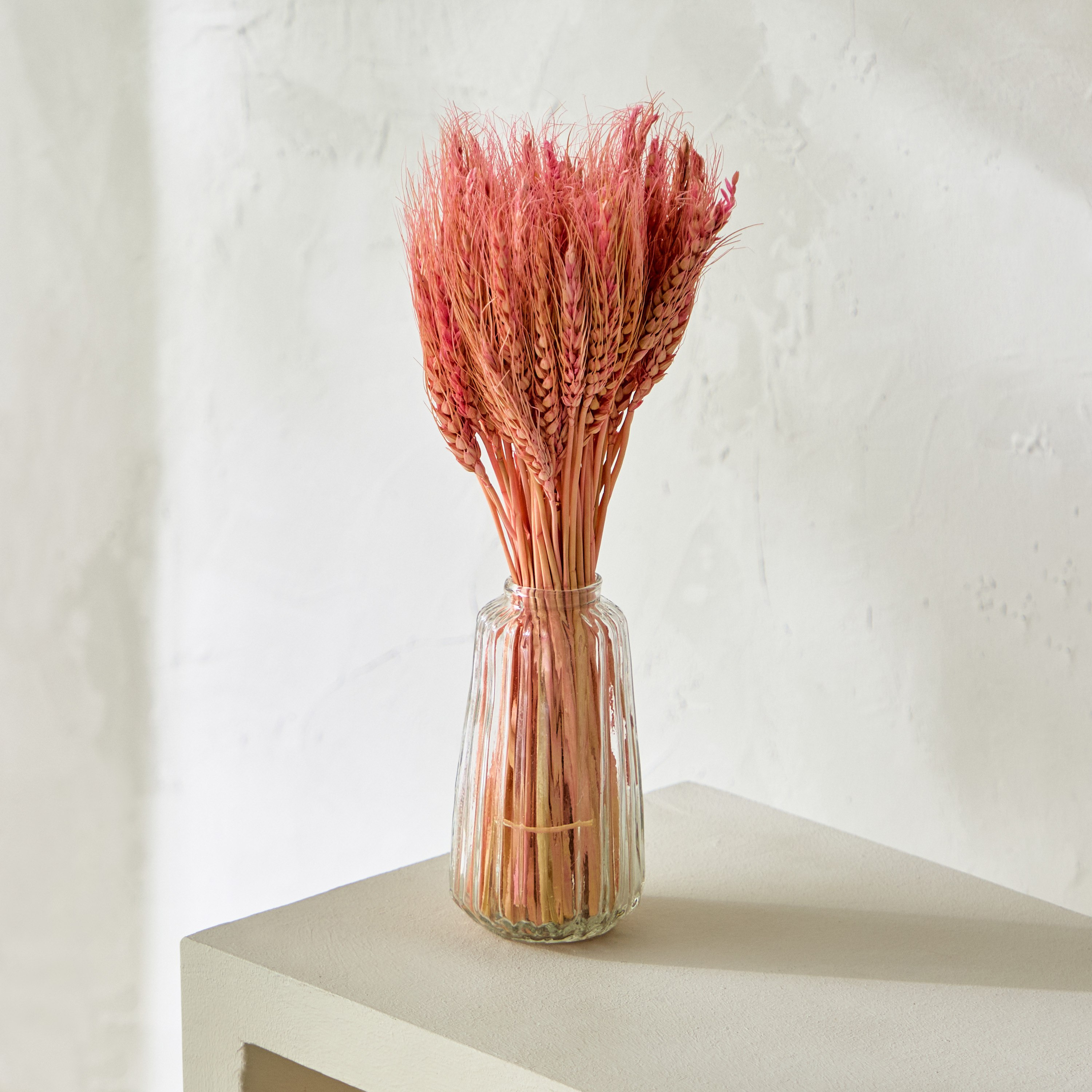 باقة عشب قمح مجففة في قارورة زجاج من ميدلي - 35 سم-hbxdecorandfurnishings-homeaccessories-artificialflowersandplants-image-1