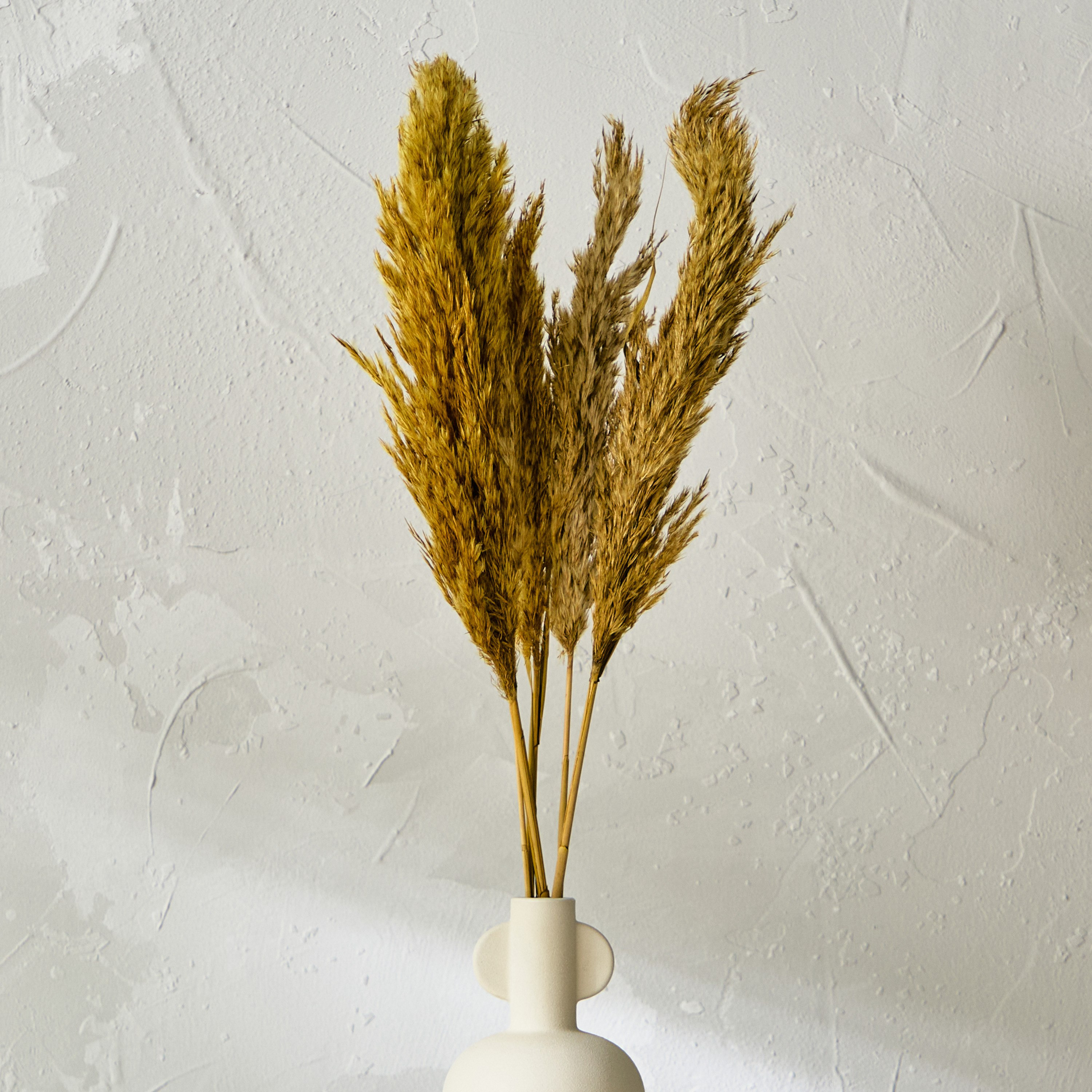 مجموعة بامبا 5 قطع من ميدلي - 90 سم-hbxdecorandfurnishings-homeaccessories-artificialflowersandplants-image-2