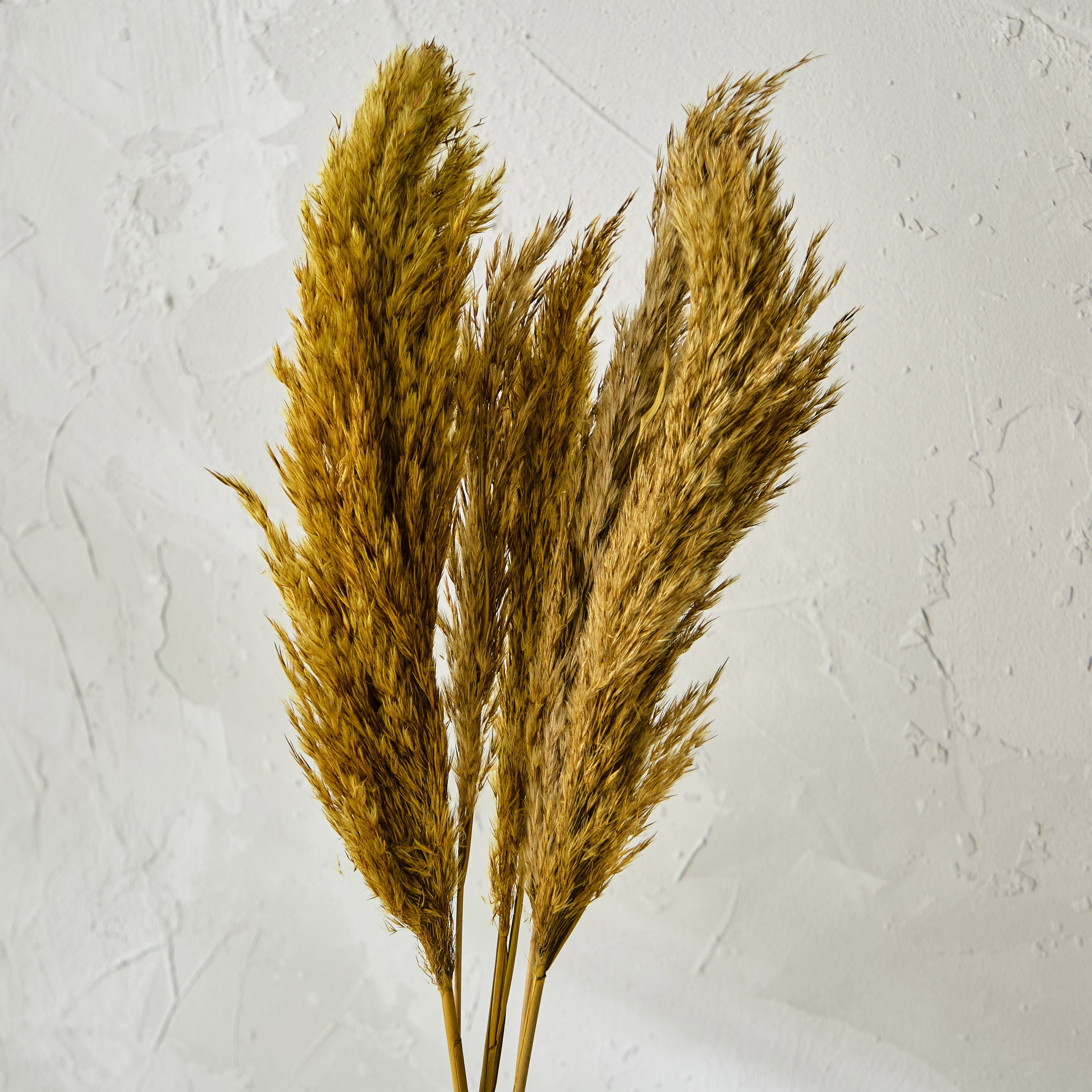 مجموعة بامبا 5 قطع من ميدلي - 90 سم-hbxdecorandfurnishings-homeaccessories-artificialflowersandplants-image-3