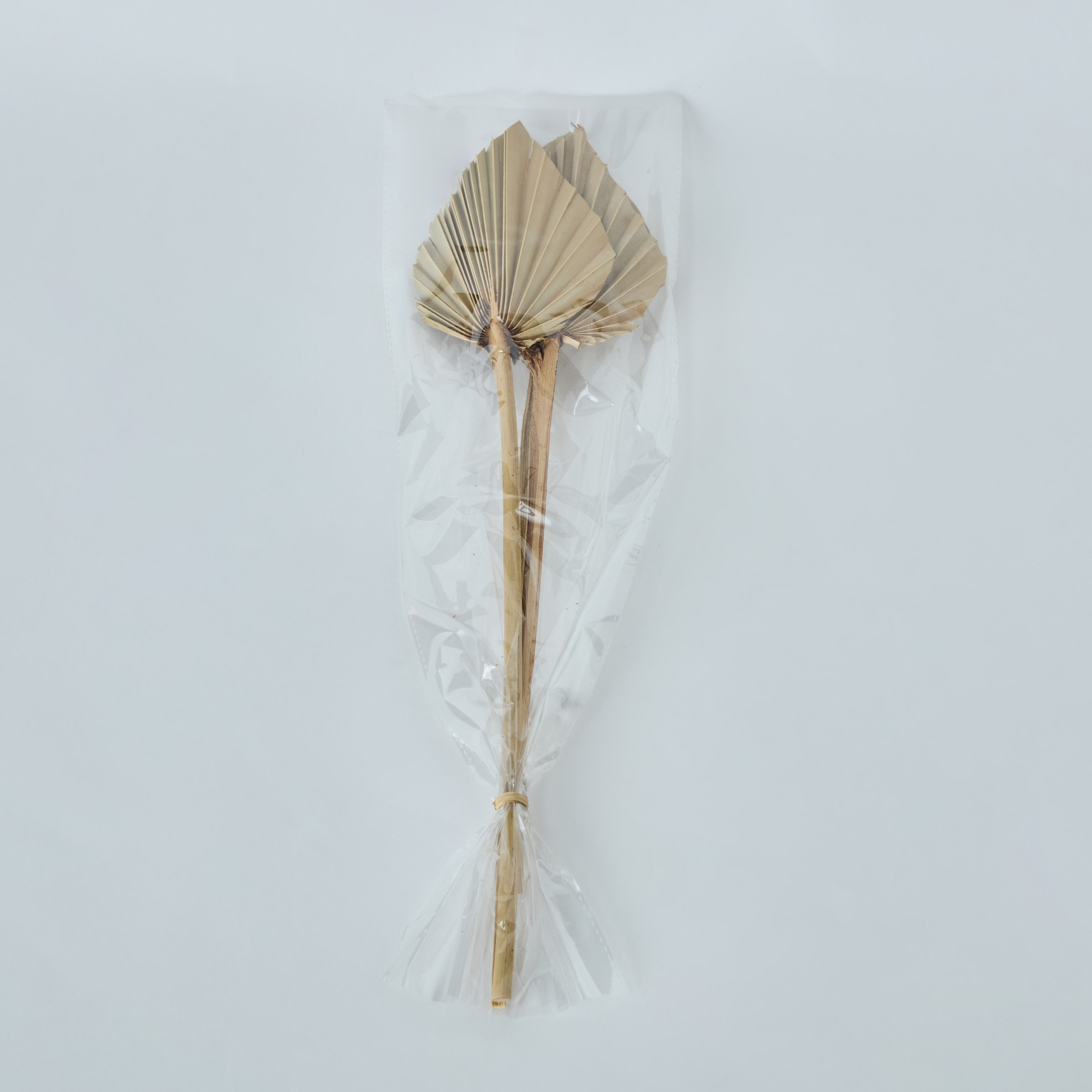 طقم 3 قطع سعف نخيل من ميدلي - 50 سم-hbxdecorandfurnishings-homeaccessories-artificialflowersandplants-image-4