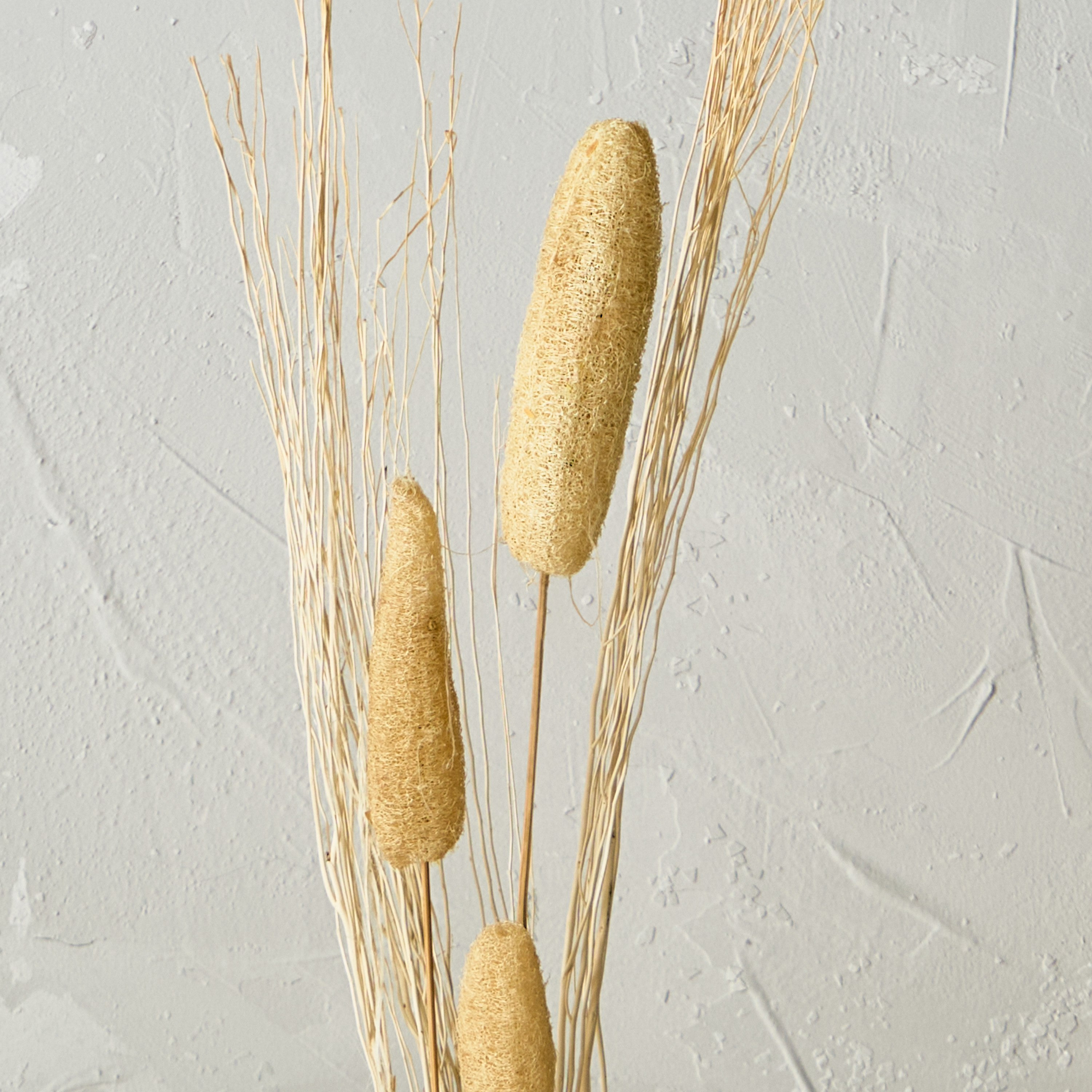 مزهرية ديكور بعصي جافة من ميدلي - 100 سم-hbxdecorandfurnishings-homeaccessories-artificialflowersandplants-image-3