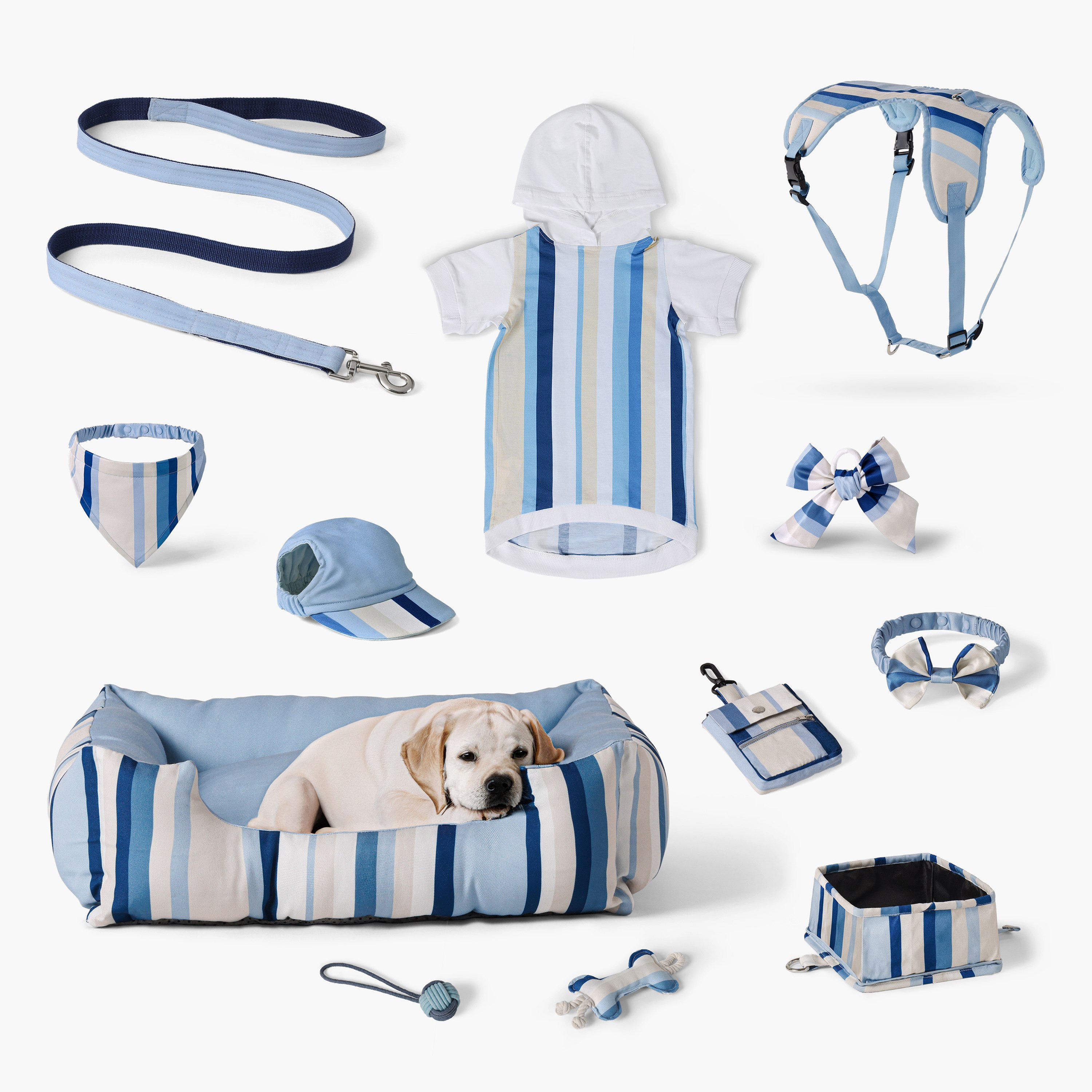Canine Linear Leash - 150 cm-PROMO_HB_AE_B2G2_011025-image-3