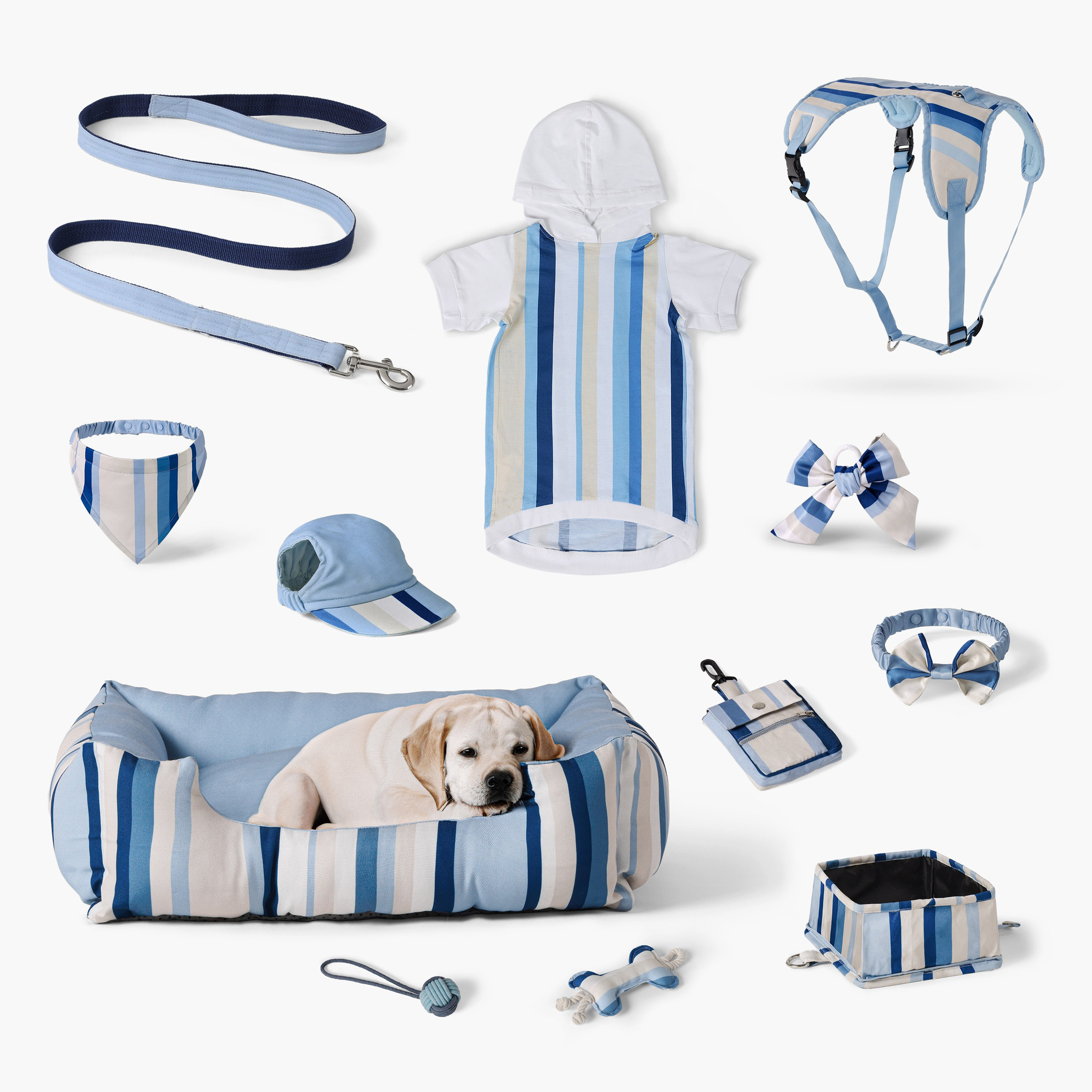 Canine Linear Bone Toy - 10x15cm-PROMO_HB_AE_B2G2_011025-image-3