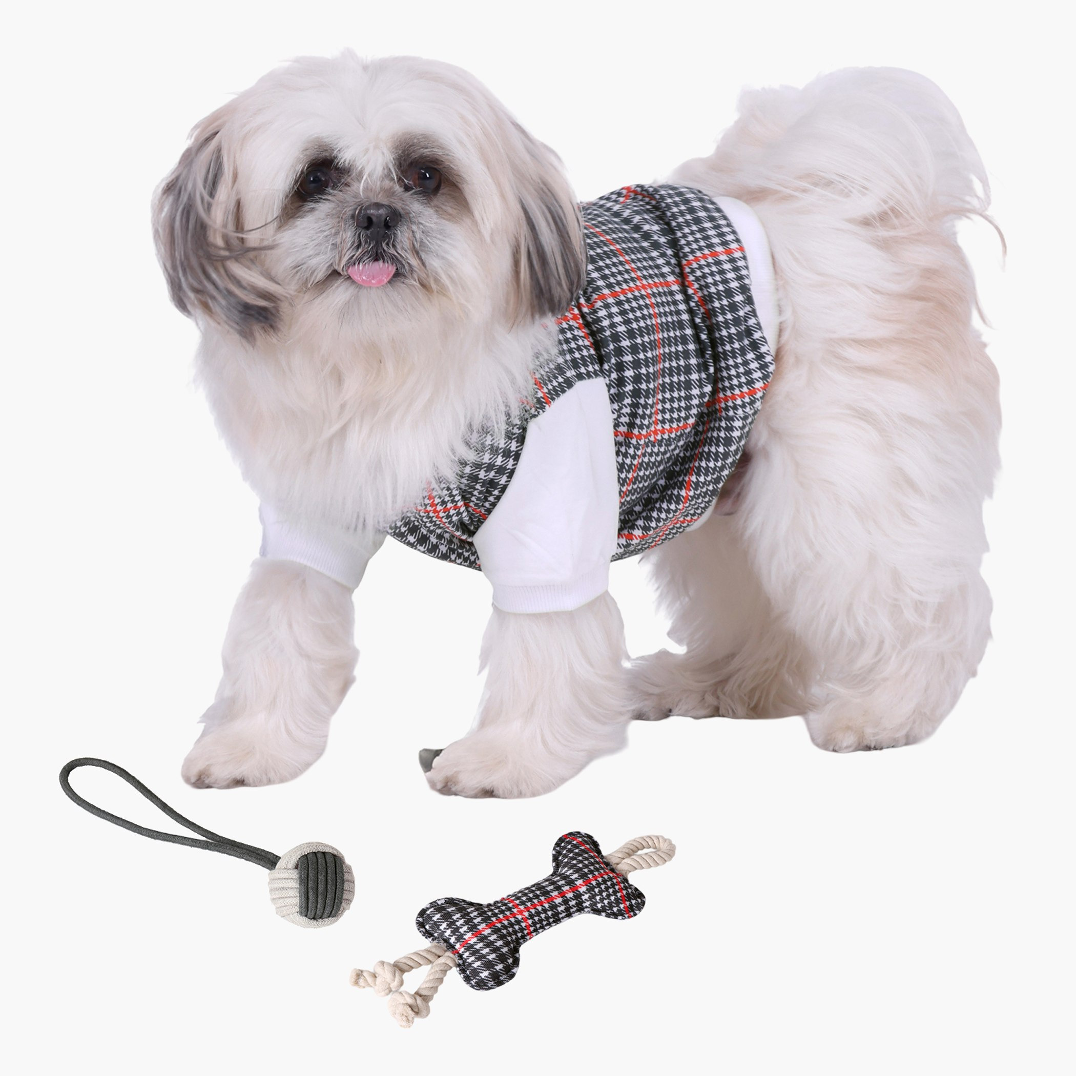 لعبة كرة ريجال من كانين - 10x15 سم-hbxpets-pettoys-image-3