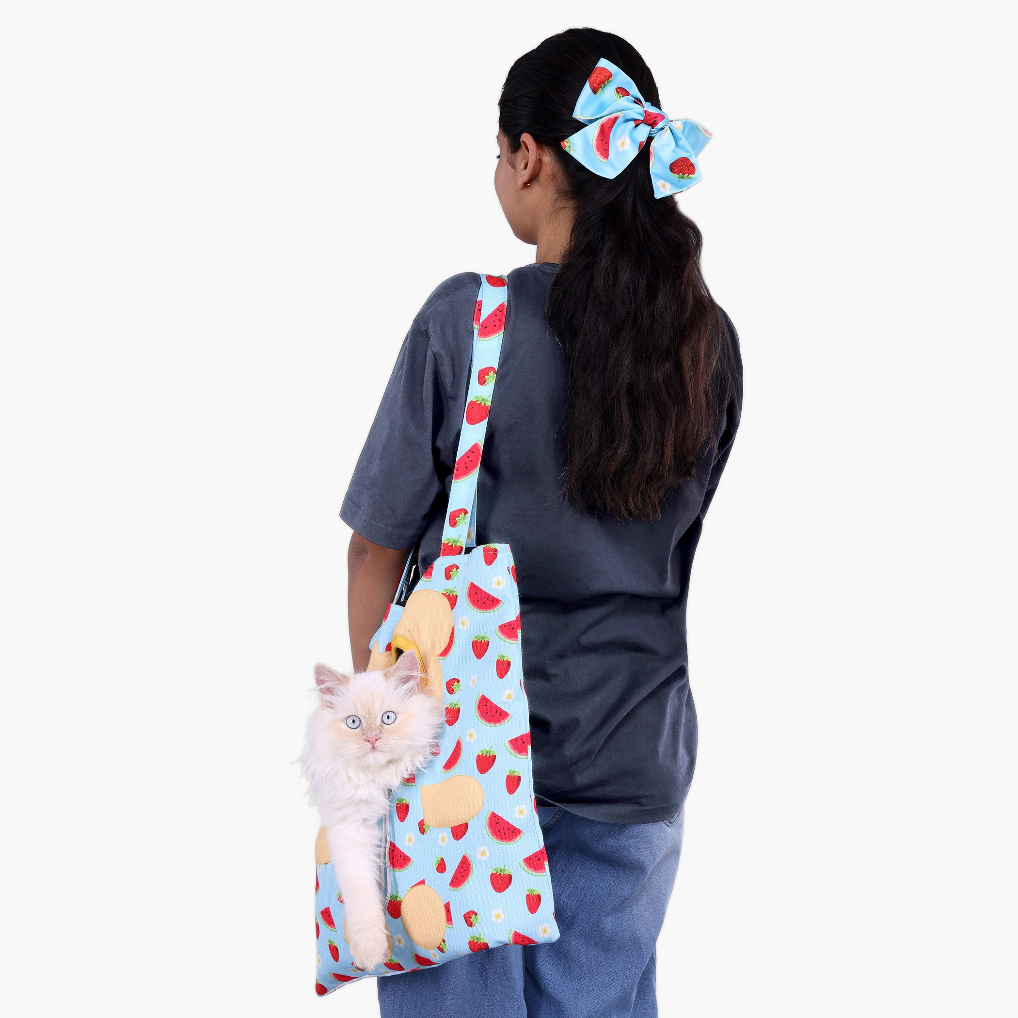 شنطة حمل من فيلين - 38x45 سم-hbxpets-petaccessories-image-2