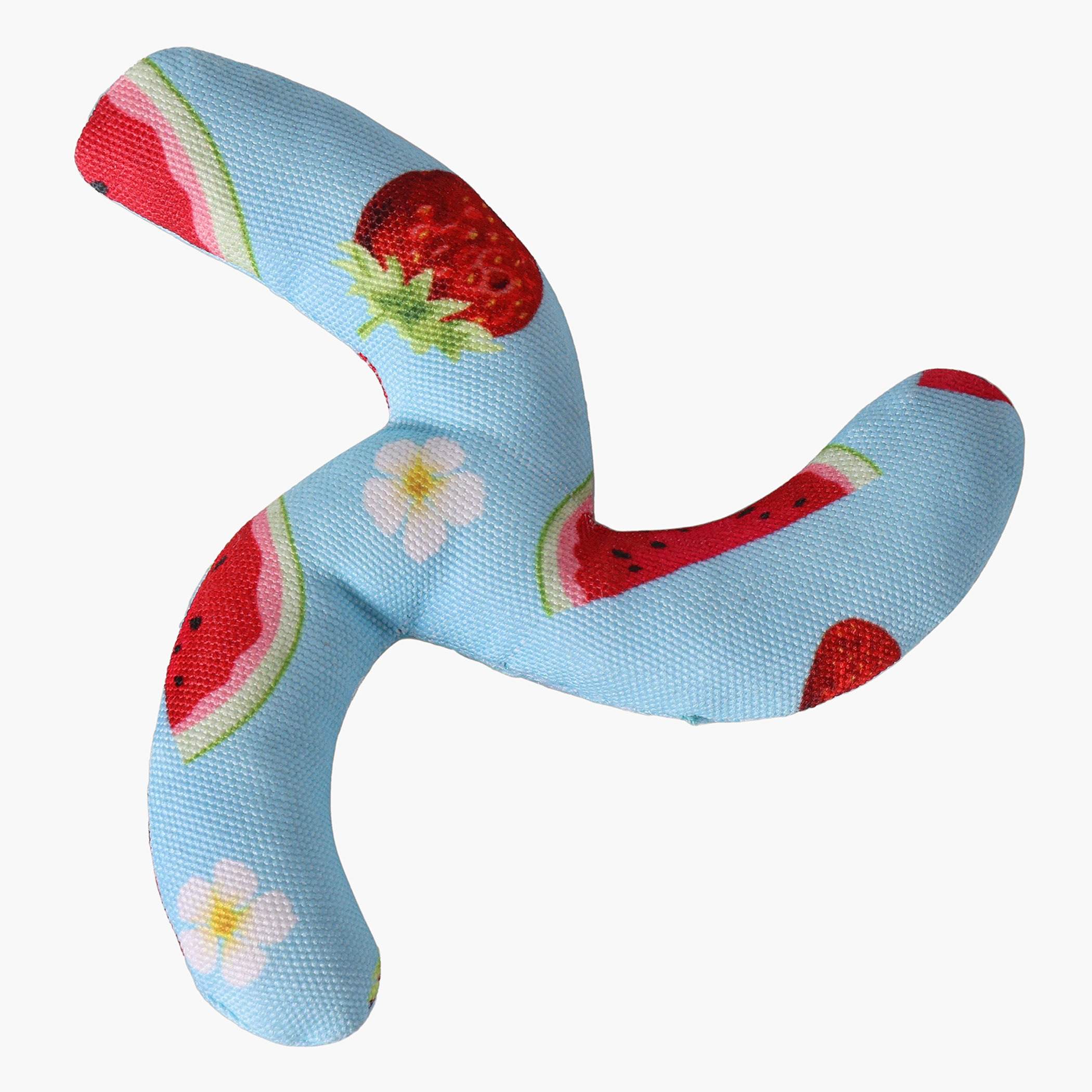 لعبة بوميرانج بتصميم فواكه من فيلين-hbxpets-pettoys-image-1