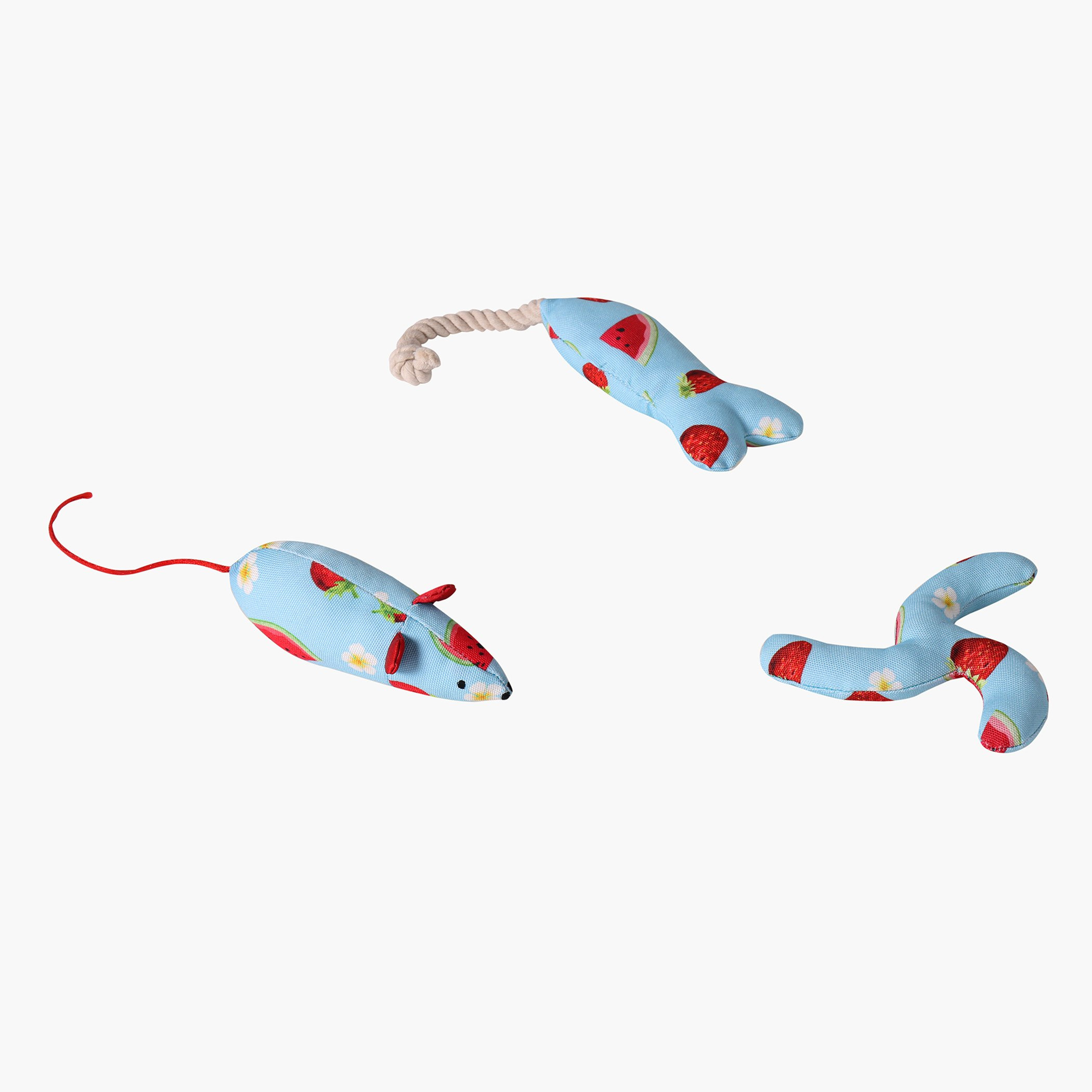 لعبة بوميرانج بتصميم فواكه من فيلين-hbxpets-pettoys-image-3