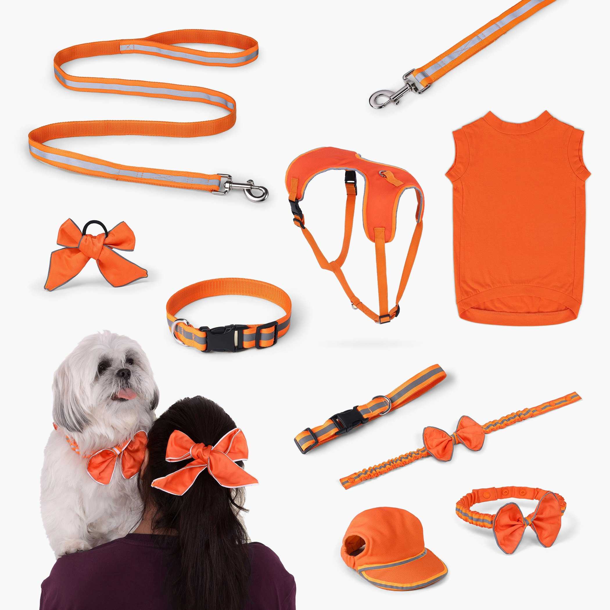 فستان يضيء في الظلام للحيوانات الأليفة - مقاس كبير-hbxpets-petcostumes-image-3