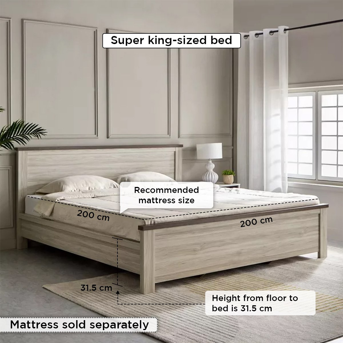 Angelic Super King Bed - 200x200 cm-PROMO_HB_SA_HBX10_TH1000_NEW_031025-image-6