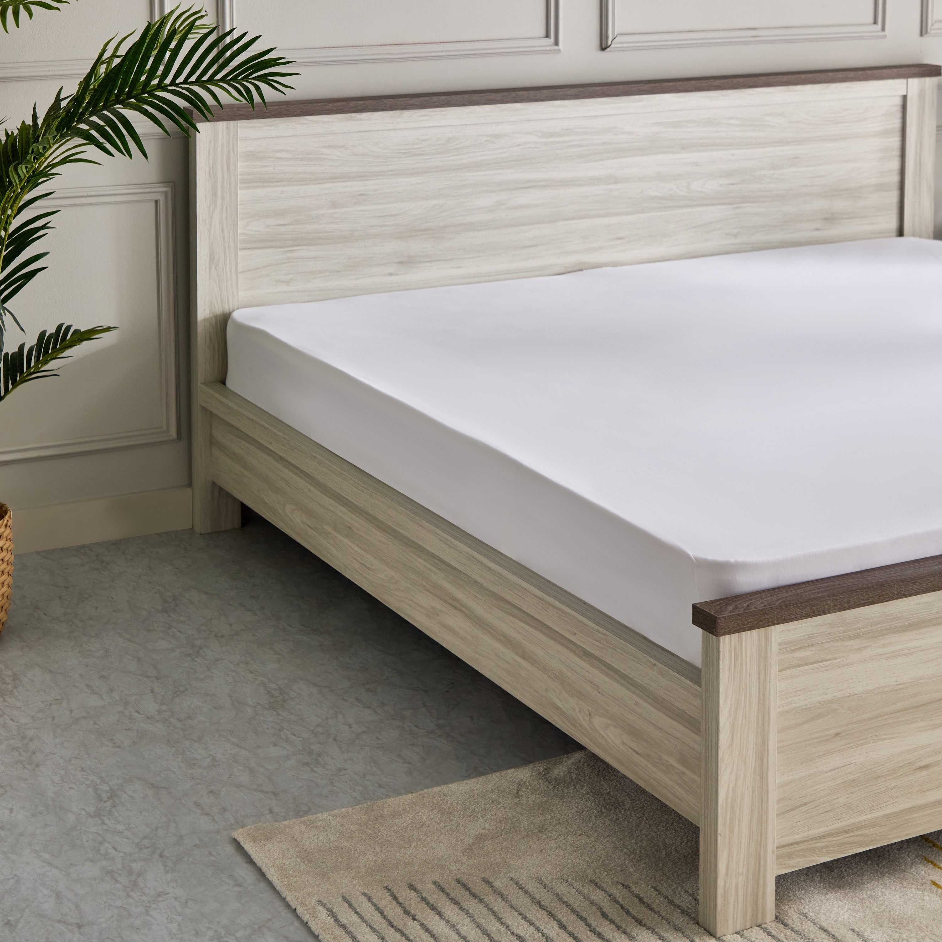 Angelic Super King Bed - 200x200 cm-PROMO_HB_SA_HBX10_TH1000_NEW_031025-image-7