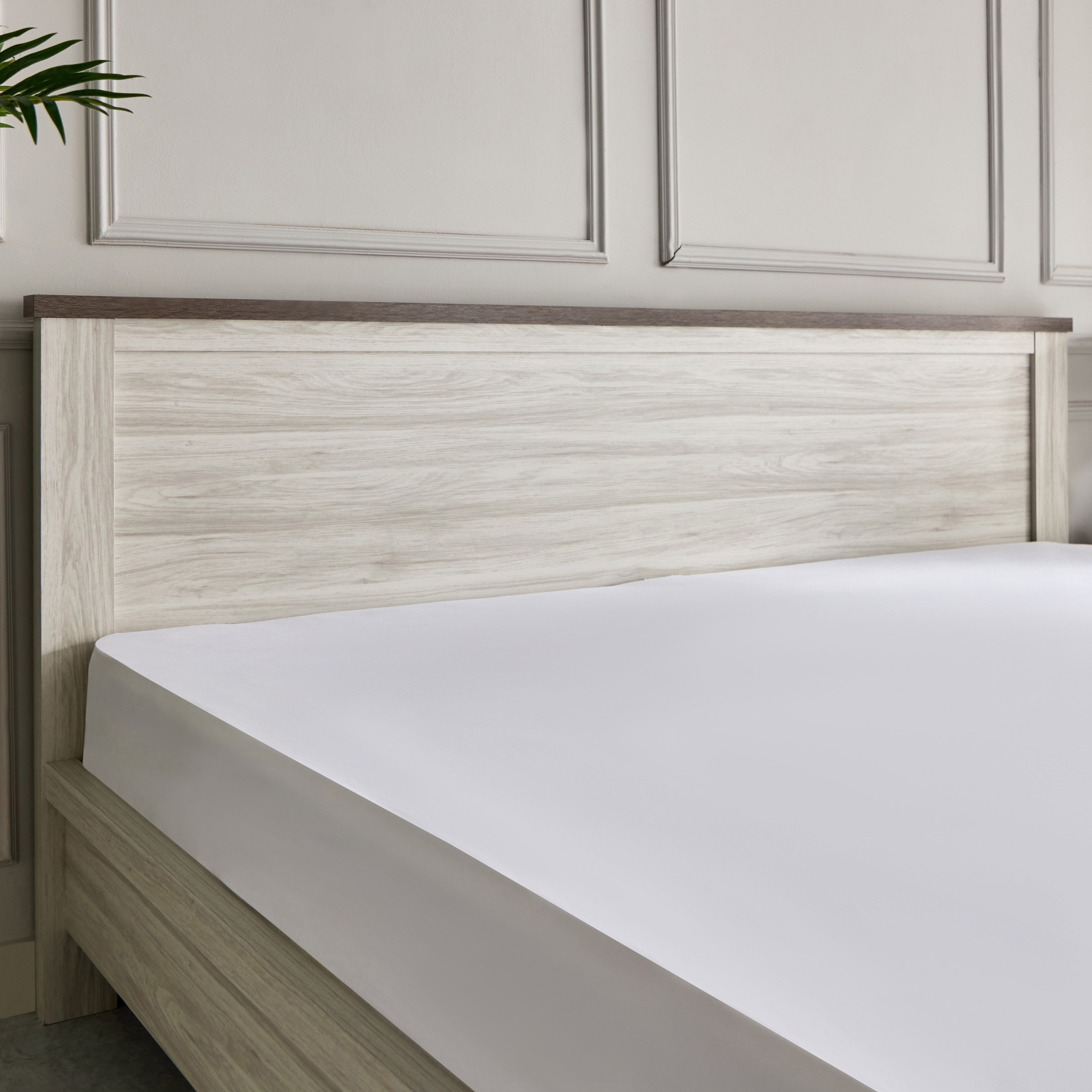 Angelic Super King Bed - 200x200 cm-PROMO_HB_SA_HBX10_TH1000_NEW_031025-image-8